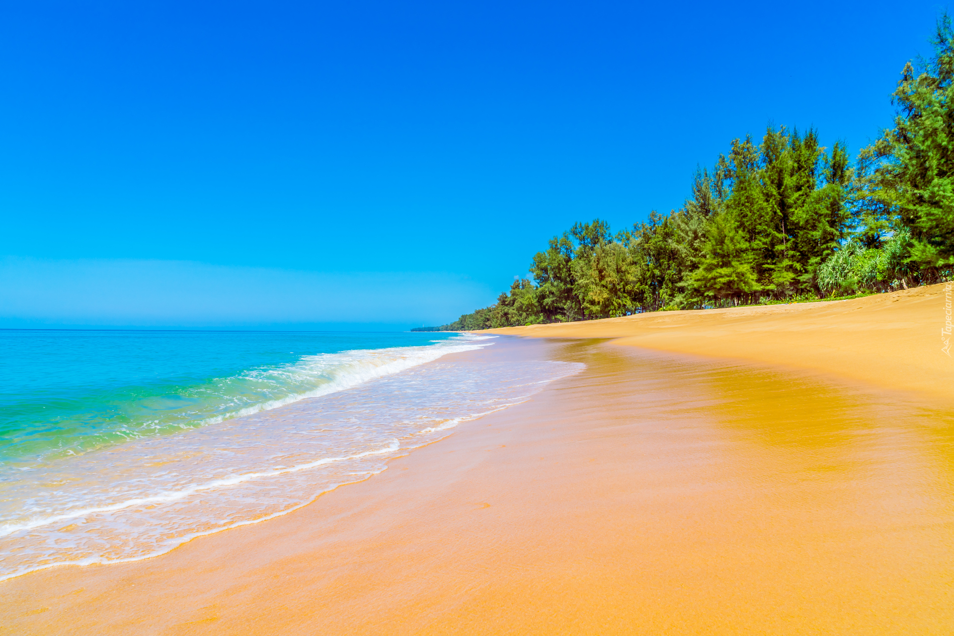 Lato, Ocean, Plaża, Piasek, Niebieskie, Niebo, Drzewa