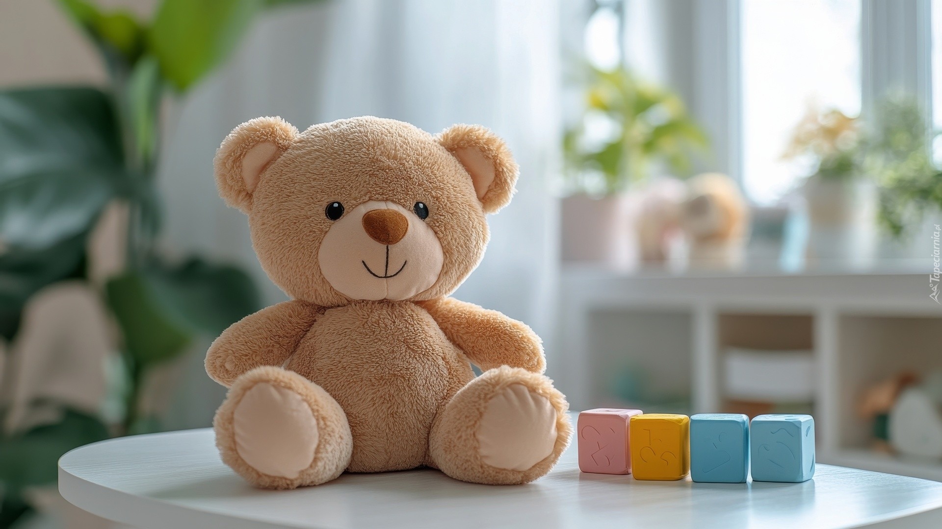 Zabawka, Pluszowy, Miś, Kolorowe, Kostki