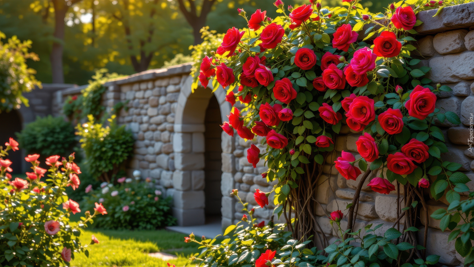 Kwiaty, Czerwone, Pnące, Róże, Mur, Krzewy, Ogród, AI