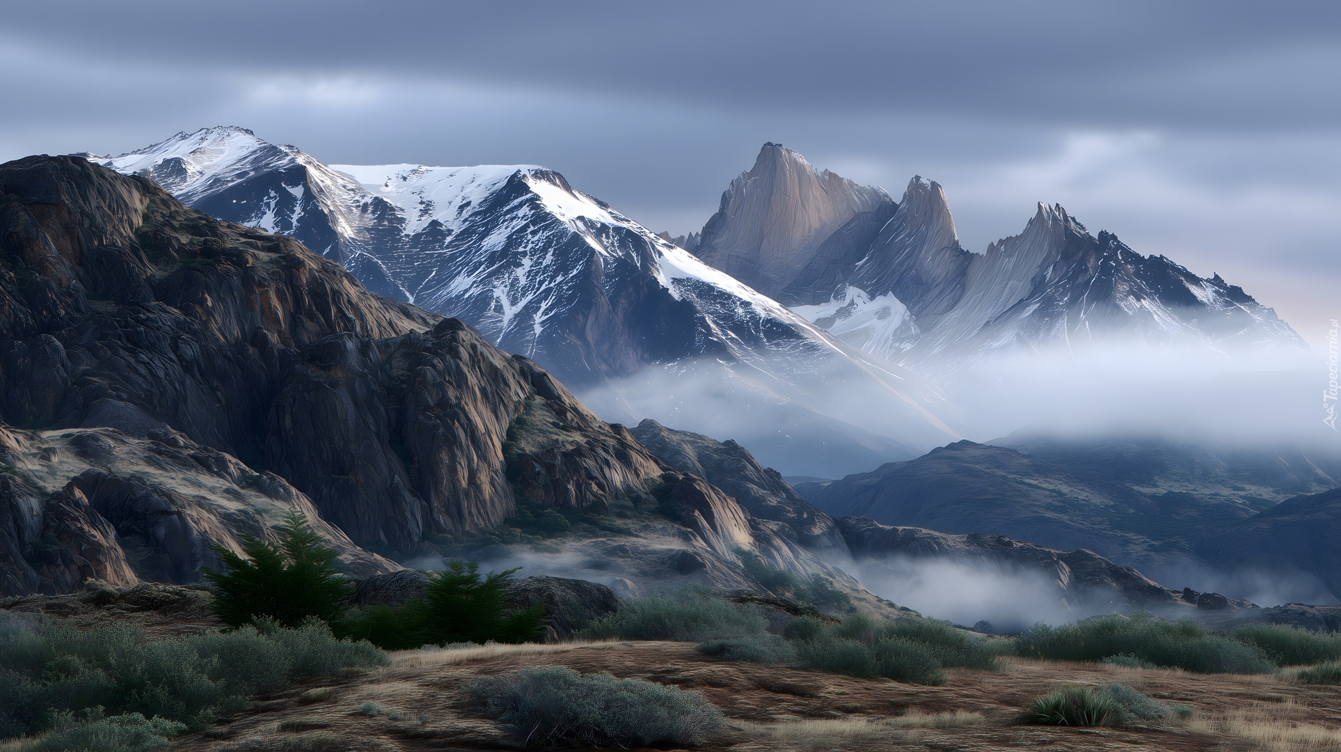 Zima, Krzewy, Góry, Mgła, Grafika AI