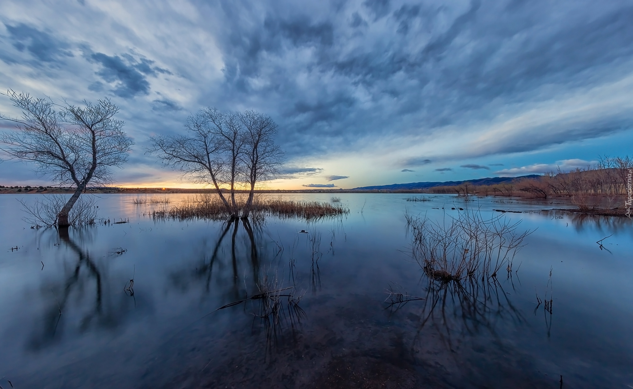 Poranek, Jezioro, Lake Chatfield, Chmury, Drzewa, Park stanowy Chatfield, Kolorado, Stany Zjednoczone