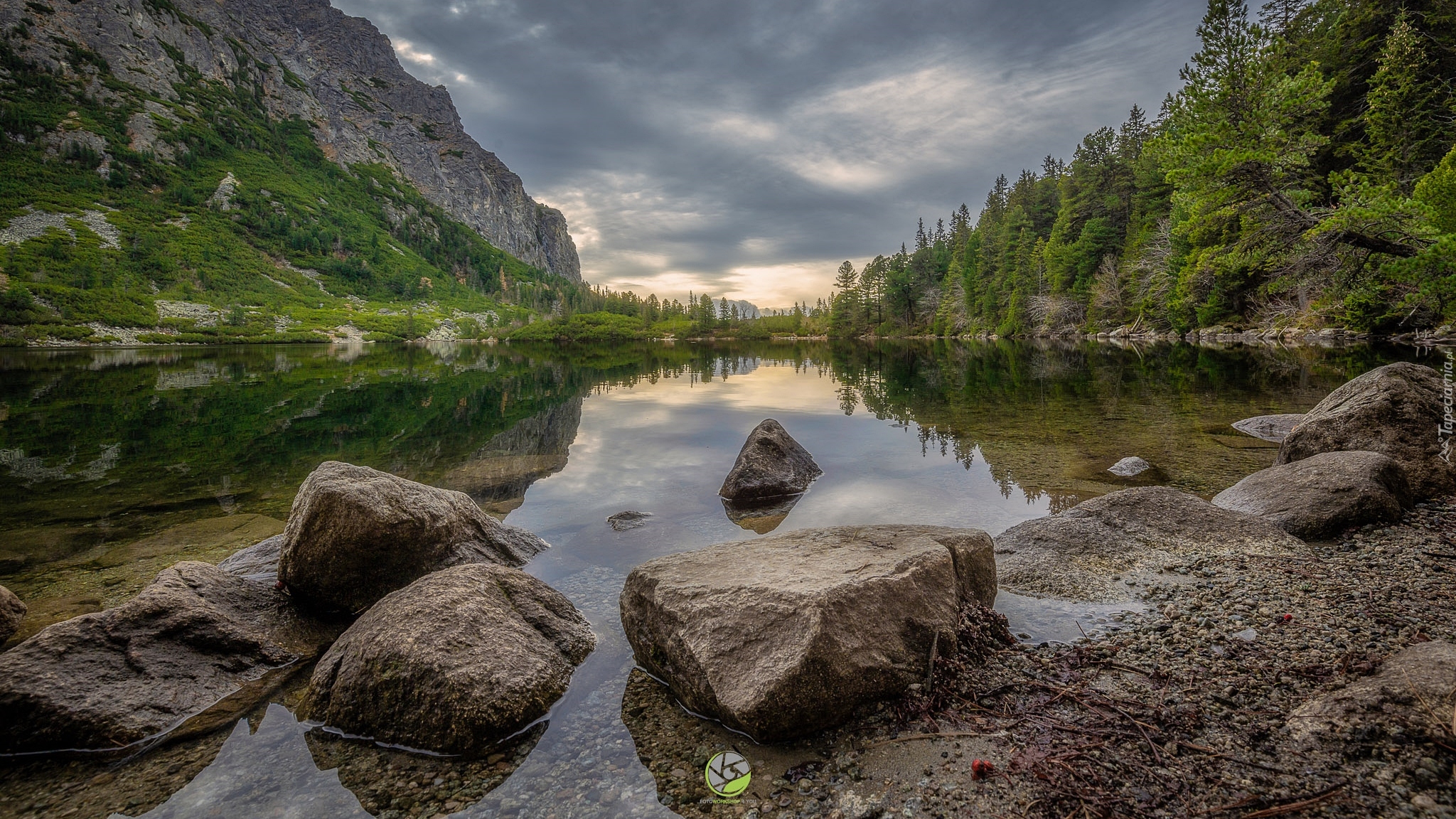 Jezioro, Góry, Tatry Wysokie, Drzewa, Lasy, Kamienie, Słowacja