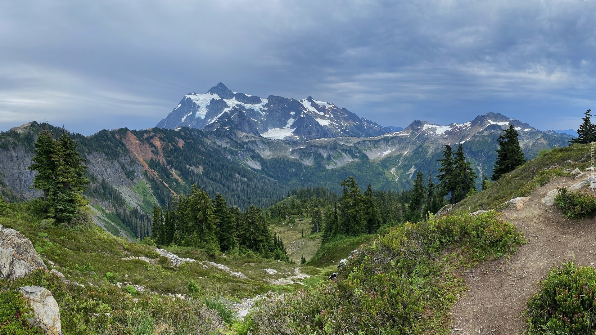 Stany Zjednoczone, Stan Waszyngton, Góry Mount Shuksan, Las, Drzewa, Park Narodowy Północnych Gór Kaskadowych