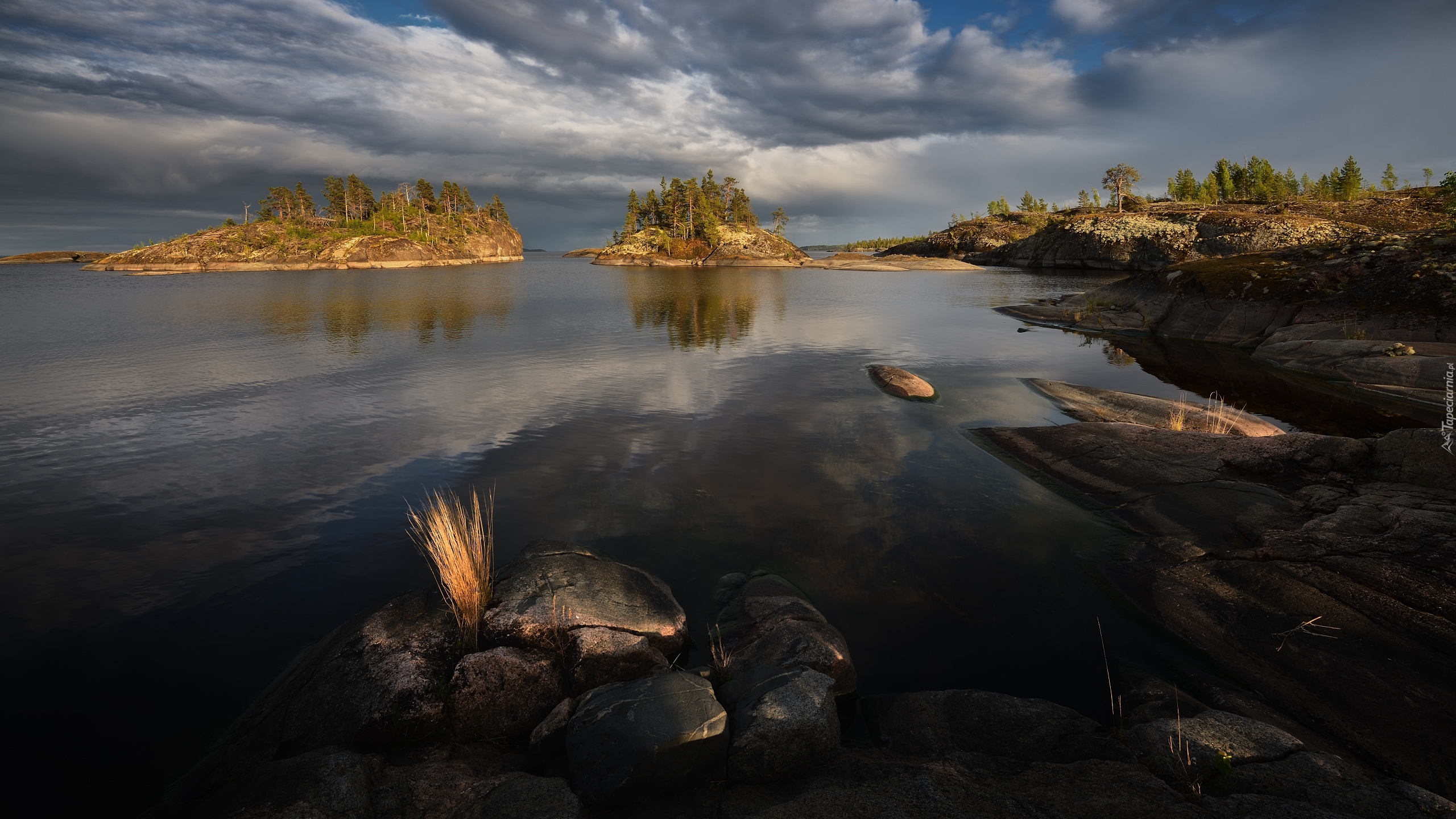 Jezioro, Ładoga, Drzewa, Skały, Karelia, Rosja
