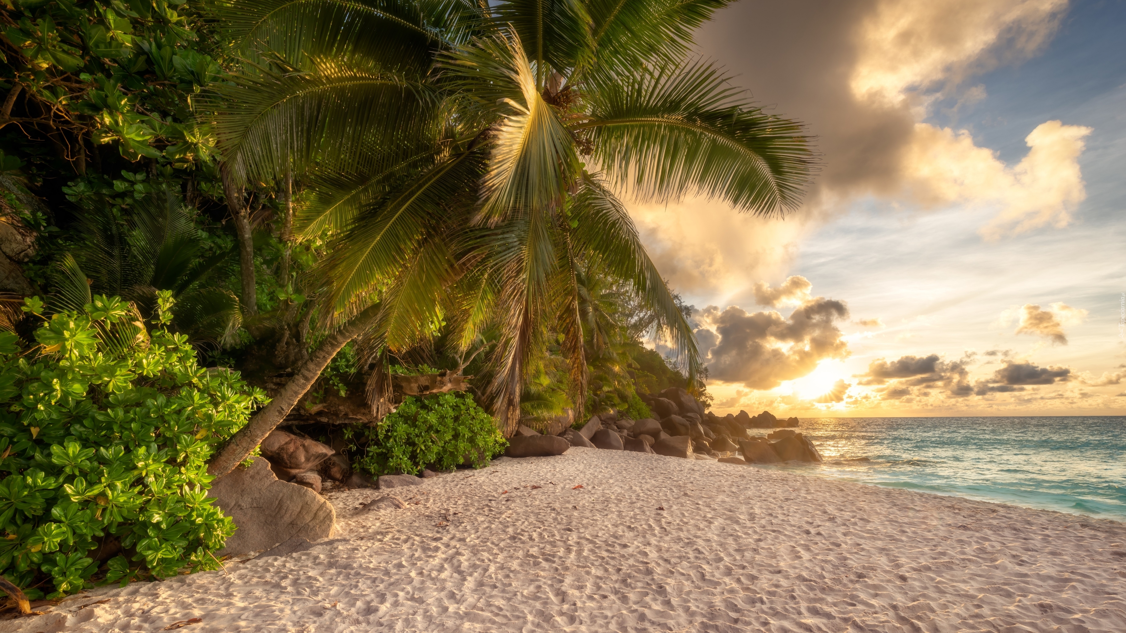 Plaża Anse Lazio, Morze, Wschód słońca, Palma, Kamienie, Wyspa Praslin, Seszele