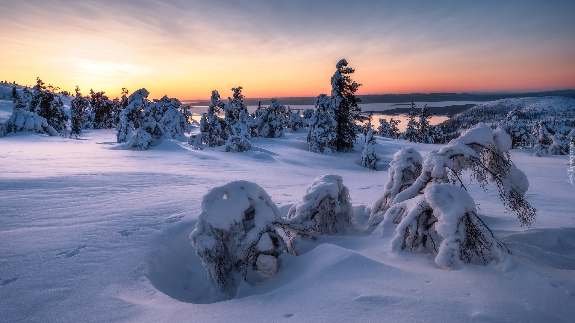 Zima, Śnieg, Zaśnieżone, Drzewa, Wschód słońca, Zatoka Kandałaksza, Półwysep Kolski, Rosja