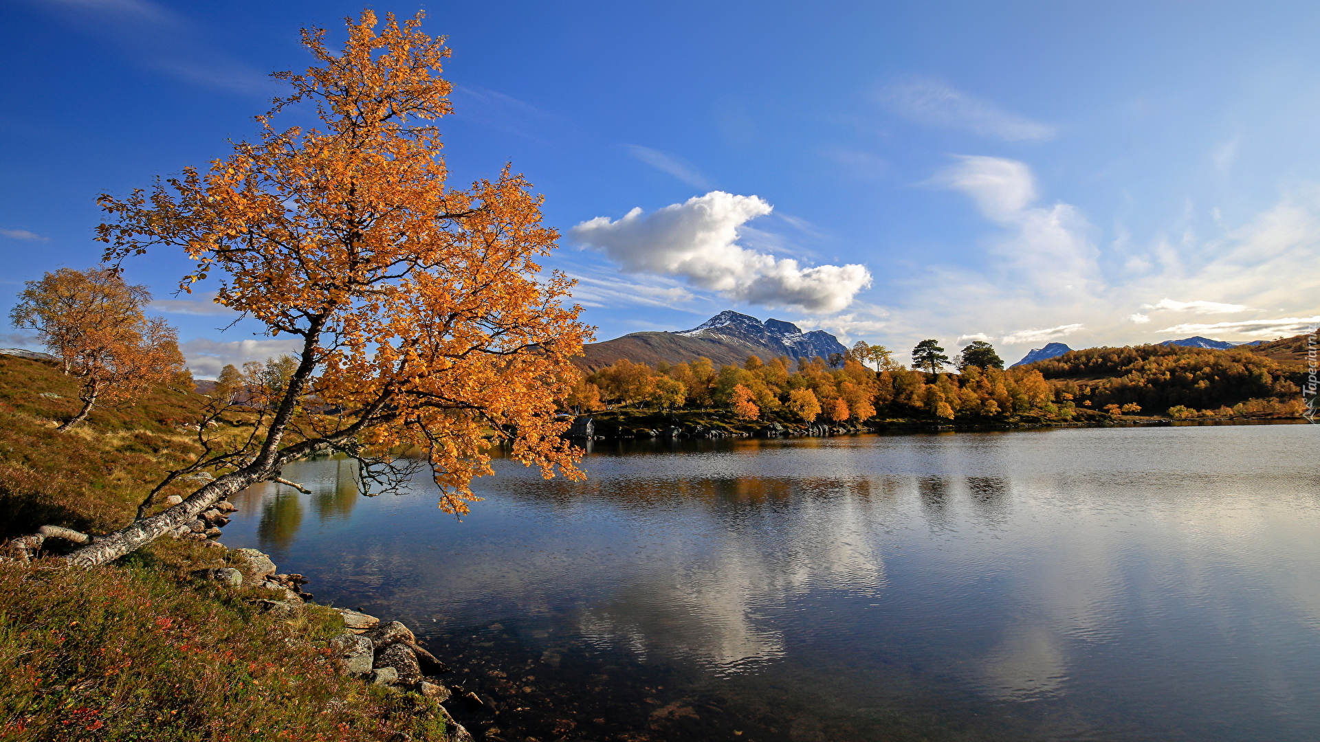 Drzewo, Jezioro, Góry, Chmury, Jesień