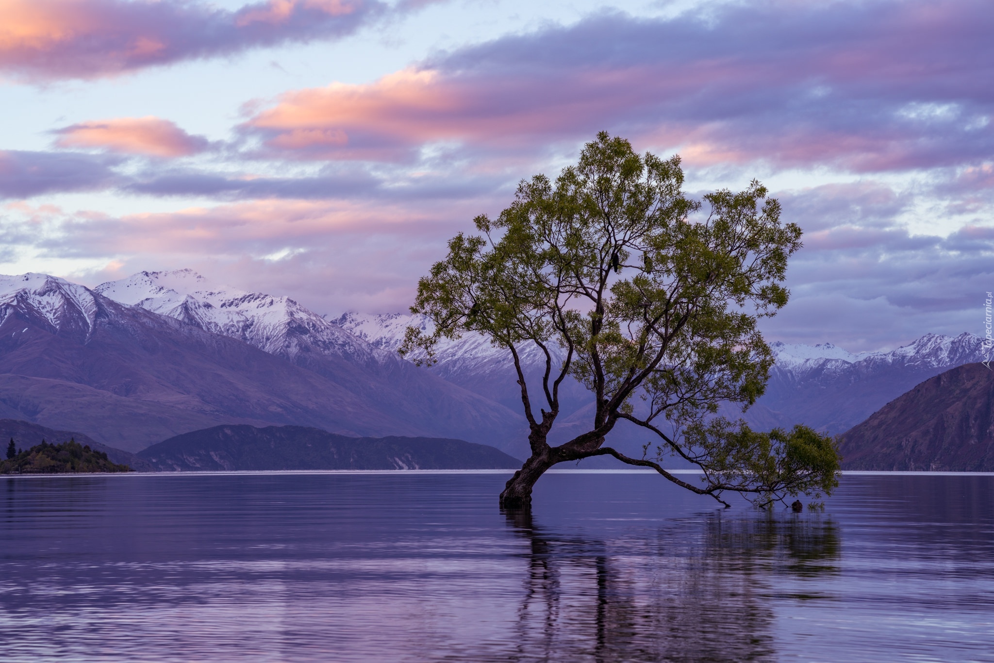 Nowa Zelandia, Jezioro Wanaka, Góry, Pochylone, Drzewo