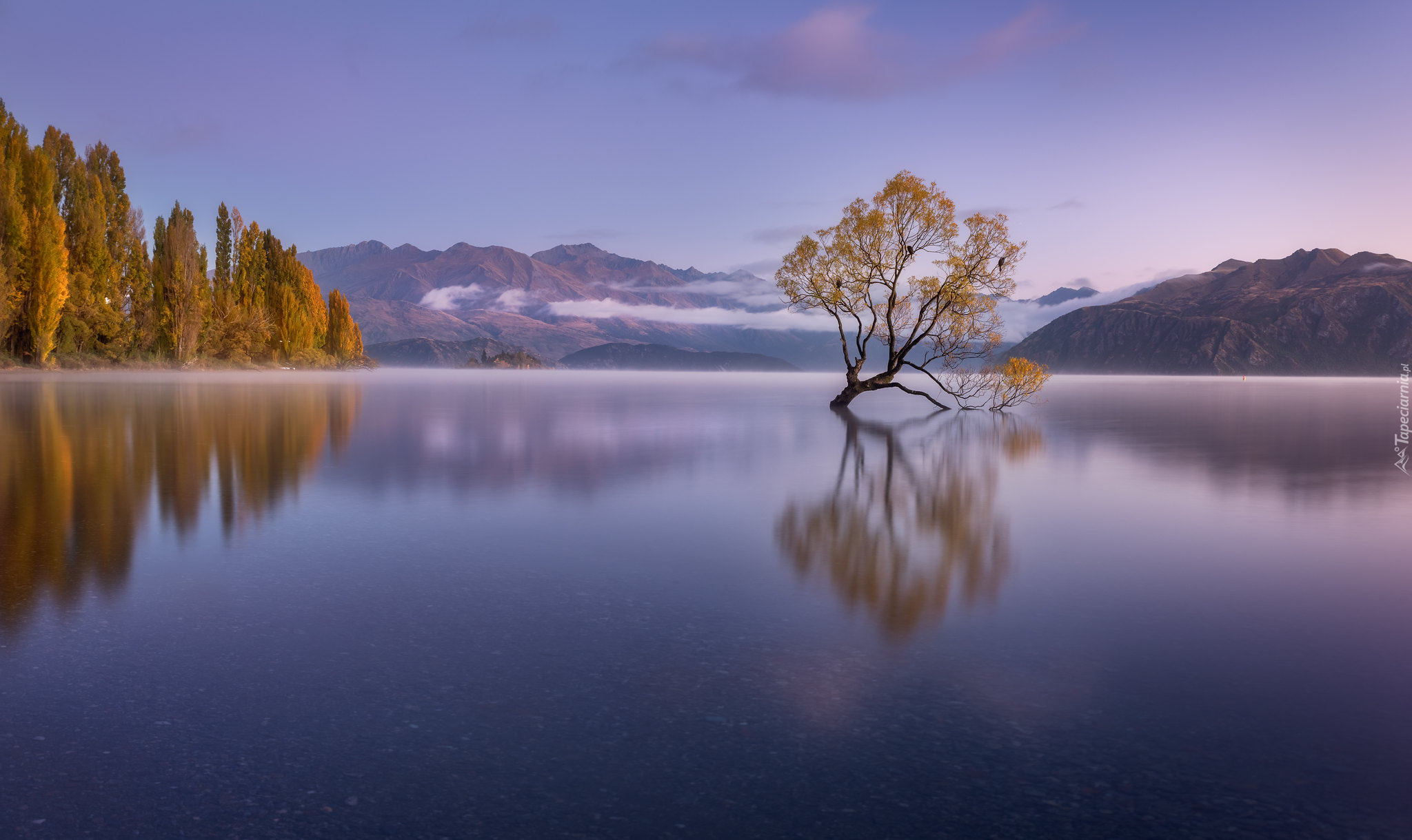 Jezioro Wanaka, Drzewo, Góry, Jesień, Odbicie, Nowa Zelandia