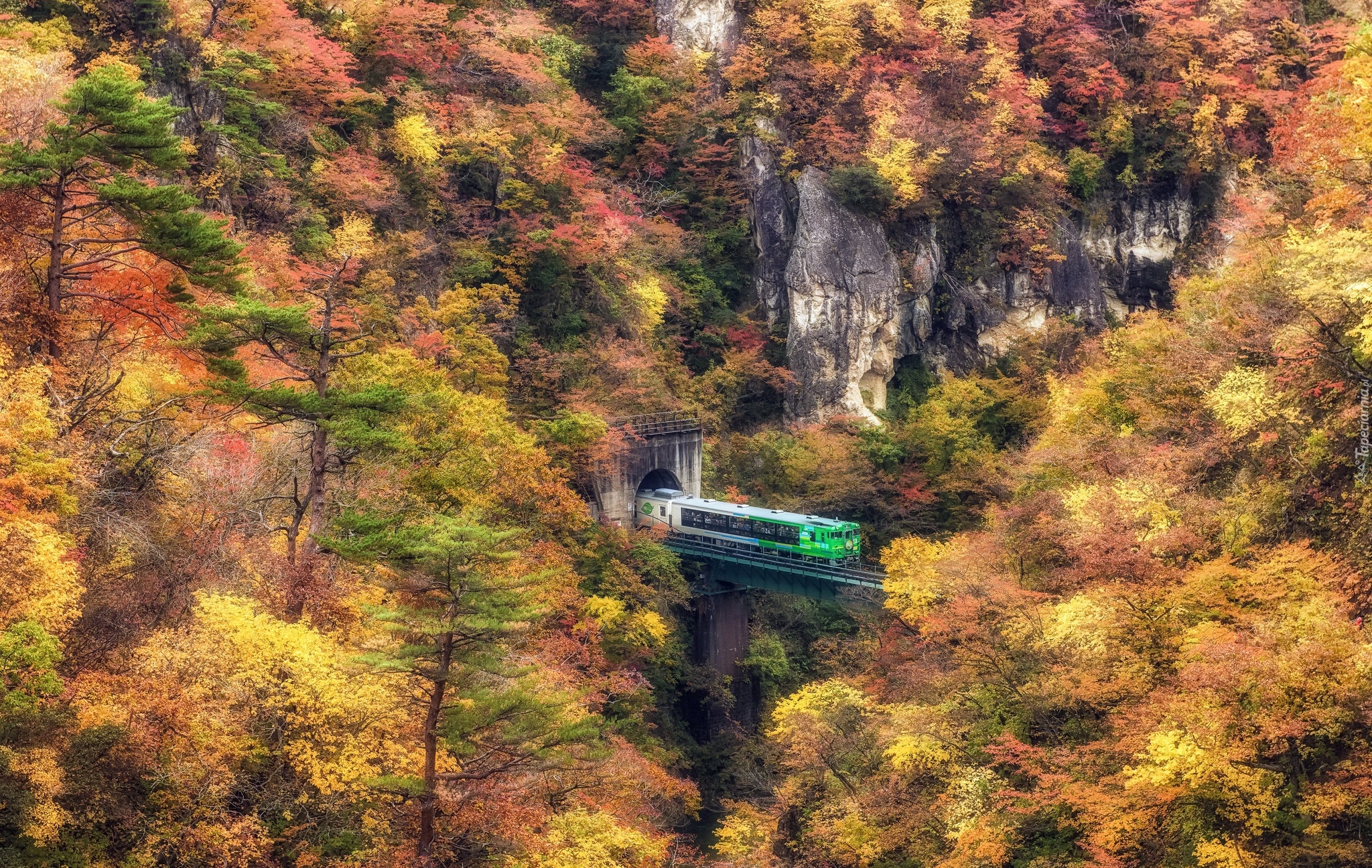 Pociąg, Tunel, Jesień, Skały, Drzewa