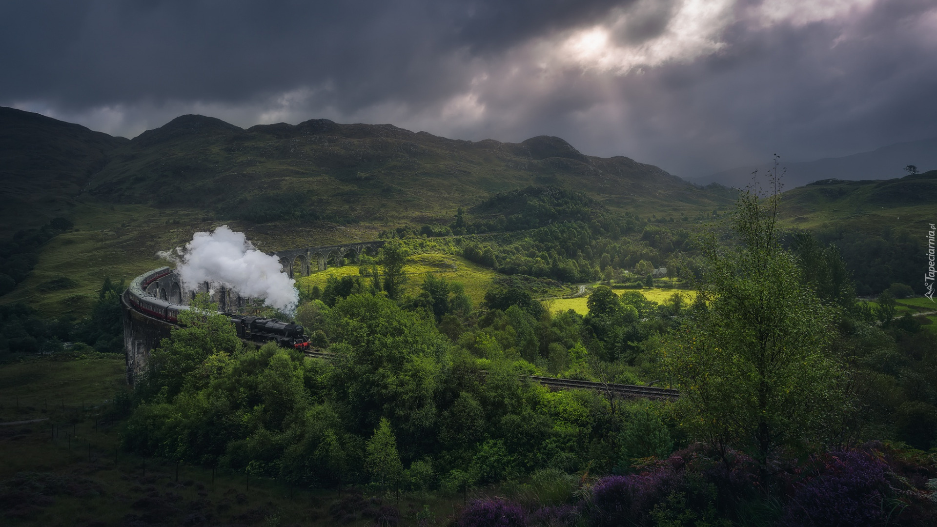 Szkocja, Miejscowość Glenfinnan, Góry, Dolina, Drzewa, Wiadukt Glenfinnan, Pociąg parowy