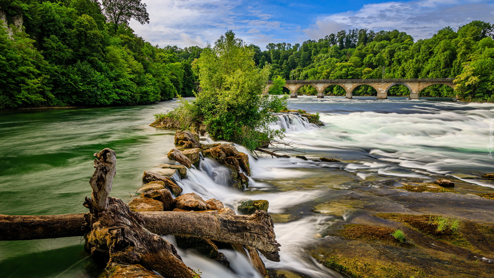 Rzeka, Ren, Wodospad Rheinfall, Most, Drzewa, Lasy, Neuhausen am Rheinfall, Szwajcaria