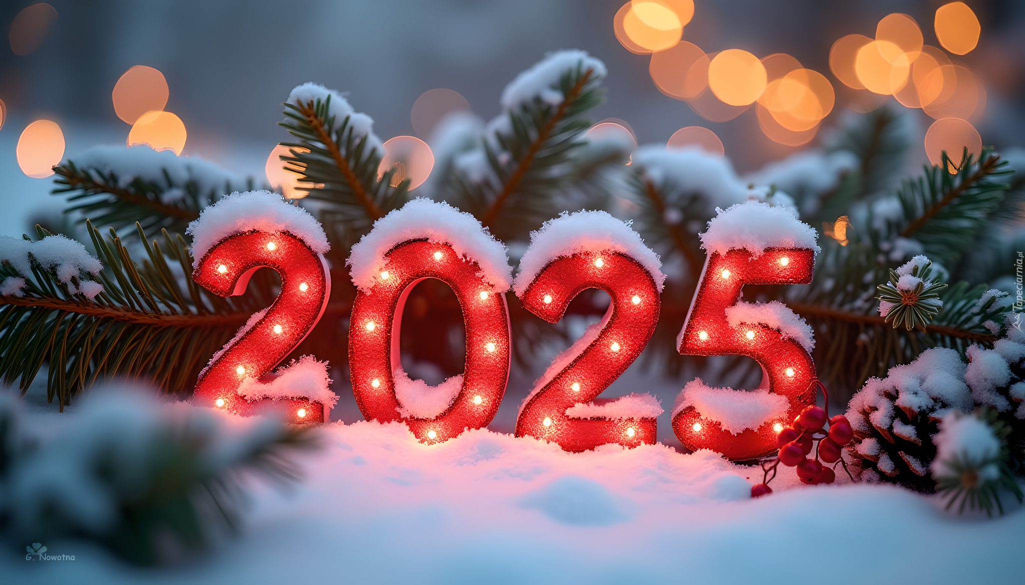 Nowy Rok, 2025, Świerkowe, Gałązki, Grafika, Śnieg