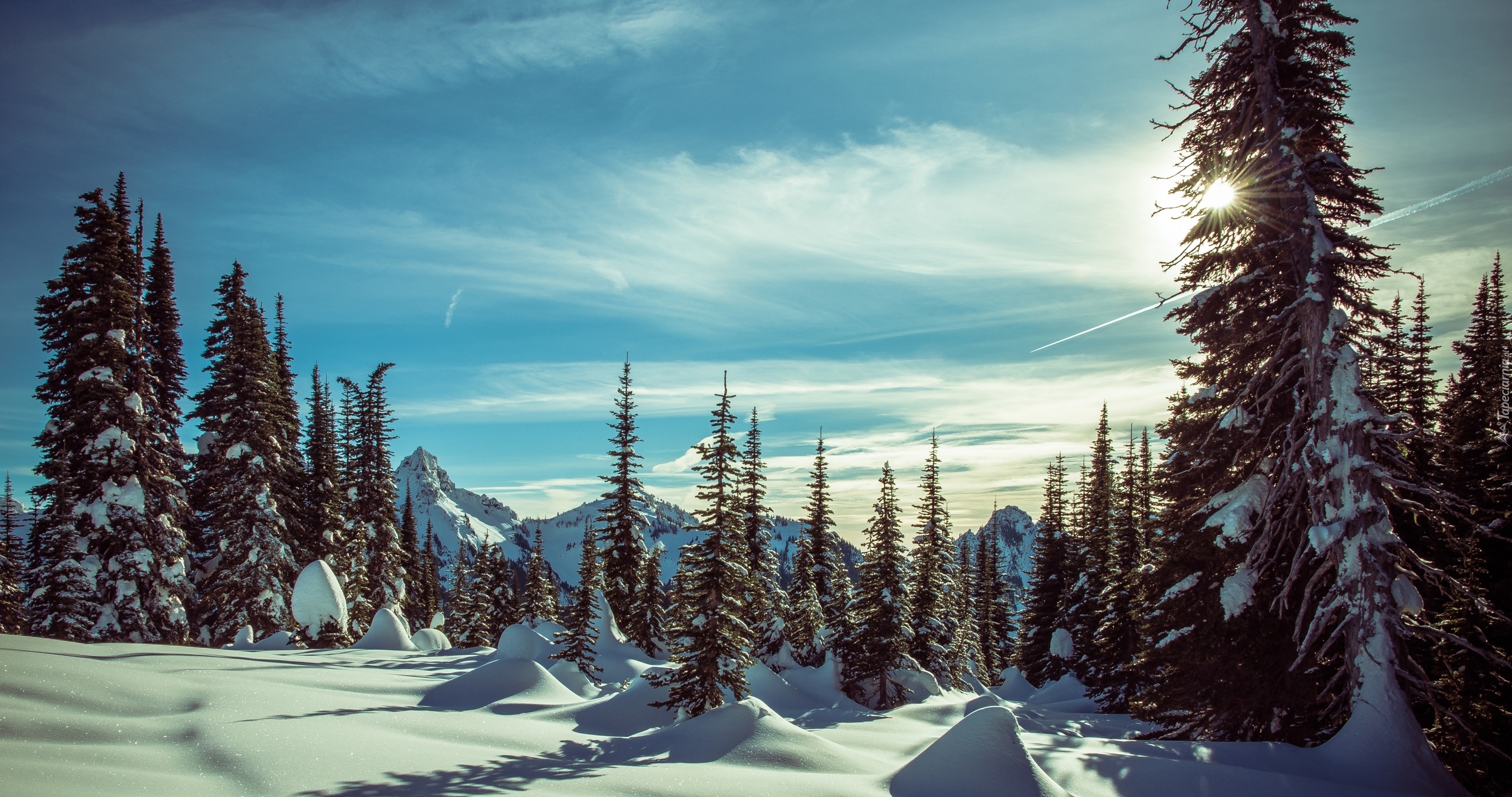 Stany Zjednoczone, Waszyngton, Park Narodowy Mount Rainier, Góry, Drzewa, Zaspy, Promienie słońca, Zima