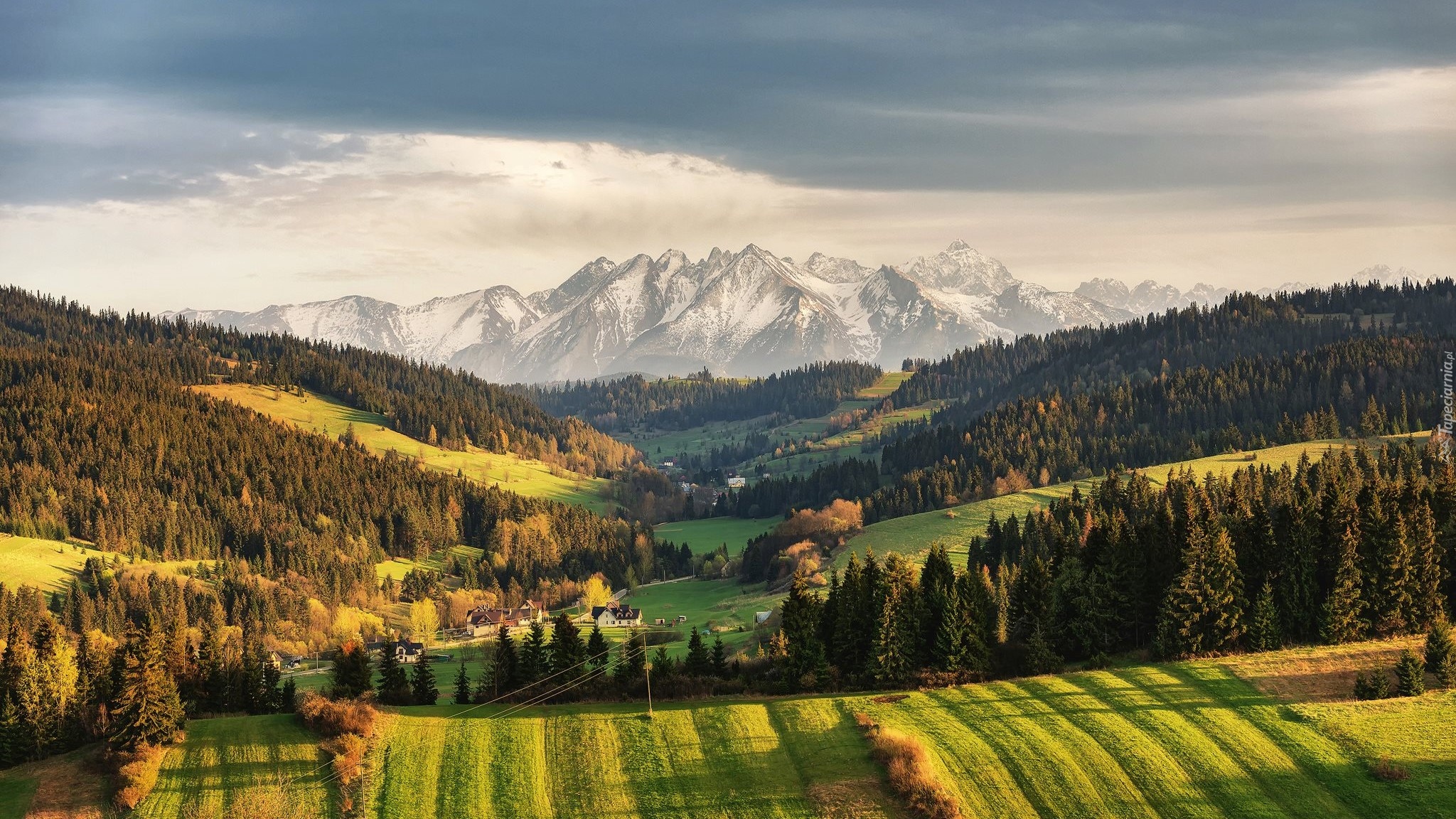 Polska, Polski Spisz, Góry Tatry, Wzgórza, Las, Pola, Niebo