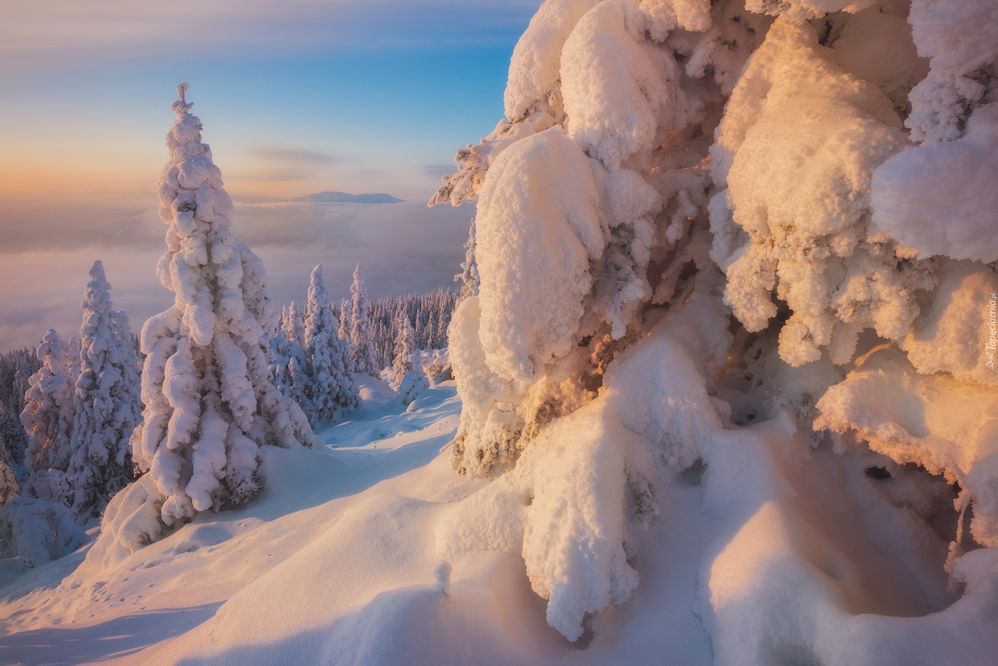 Rosja, Góry Ural, Południowy Ural, Zima, Ośnieżone, Drzewa, Zaspy