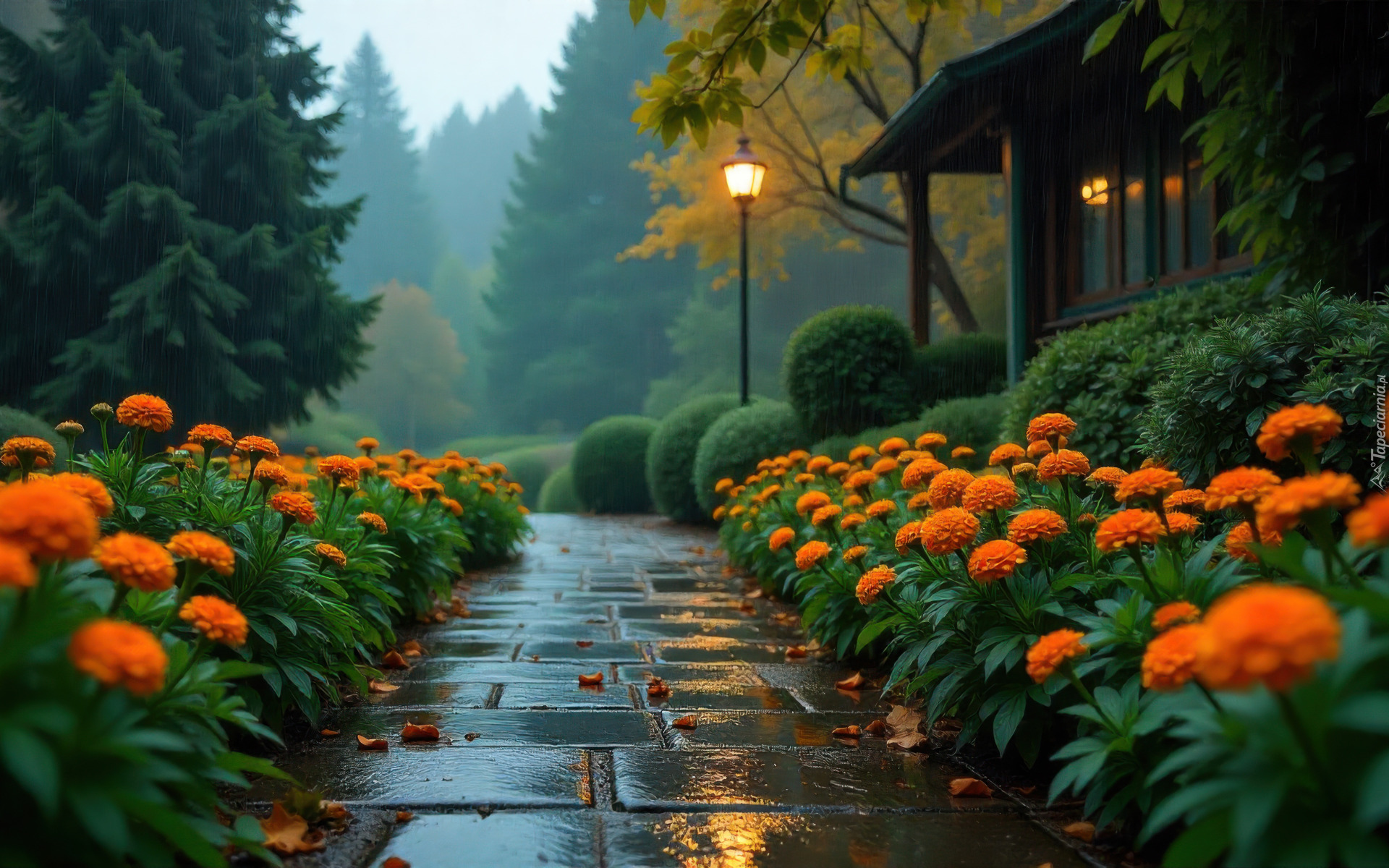 Park, Drzewa, Pomarańczowe, Kwiaty, Aksamitki, Alejka, Krzewy, Dom, Deszcz, Latarnia, Grafika AI