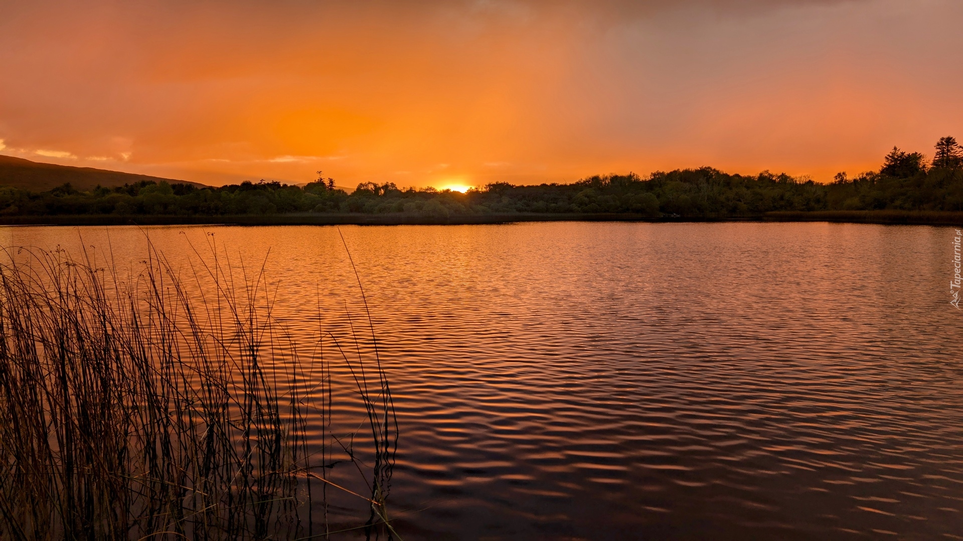 Jezioro, Ross Lake, Zachód słońca, Rosscahill, Galway, Irlandia