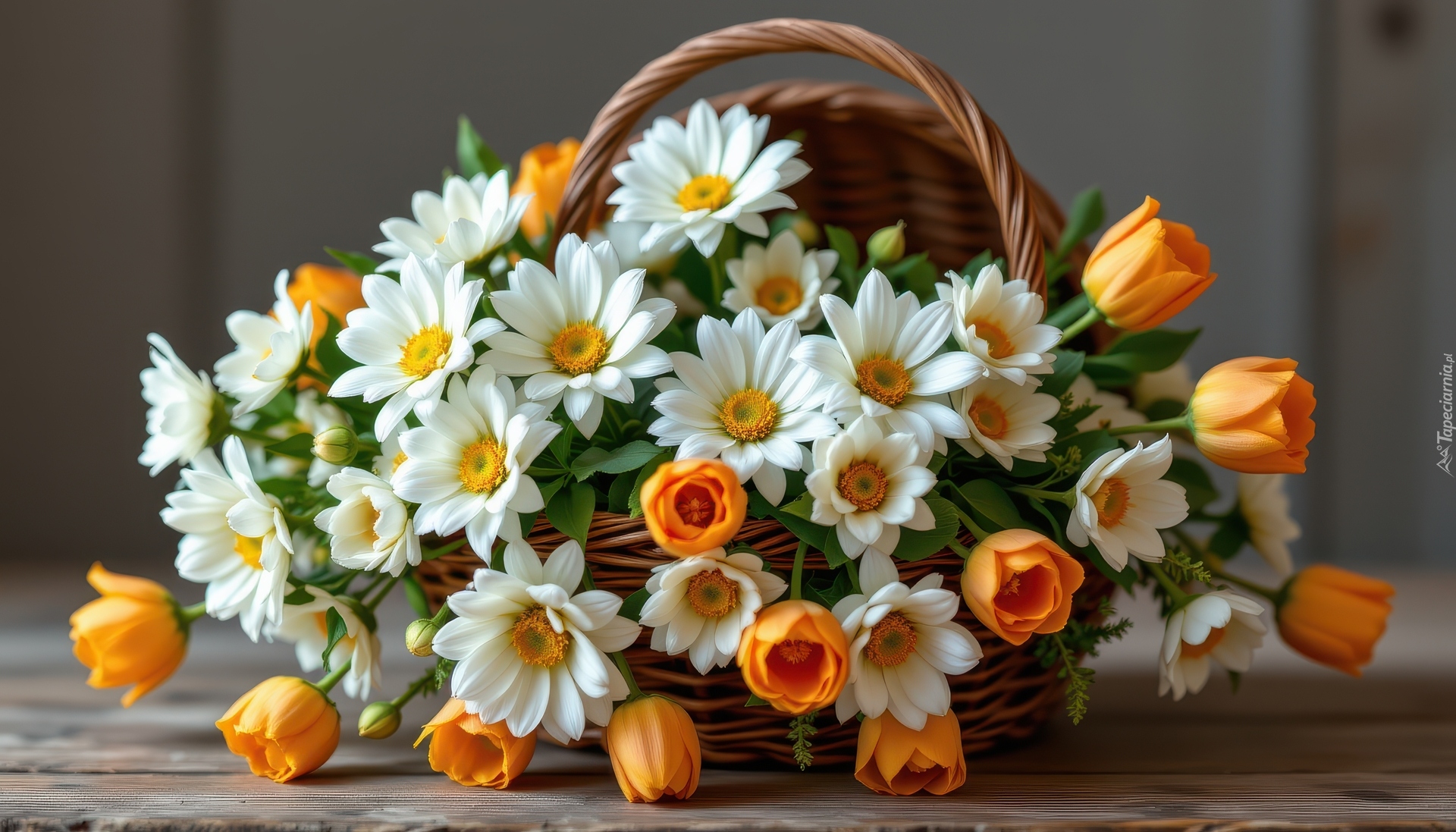 Kwiaty, Białe, Chryzantemy, Pomarańczowe, Tulipany, Bukiet, Koszyk, Deski