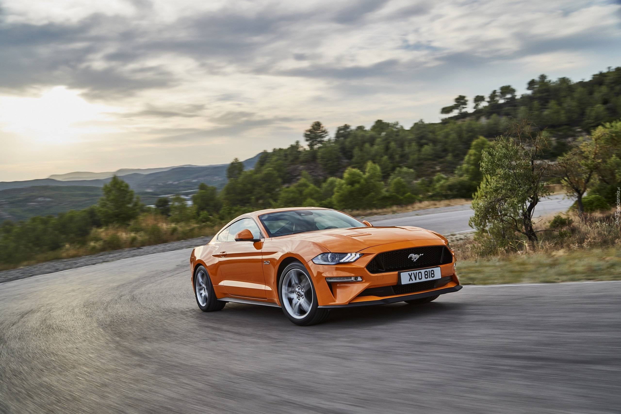 Ford Mustang GT, Droga