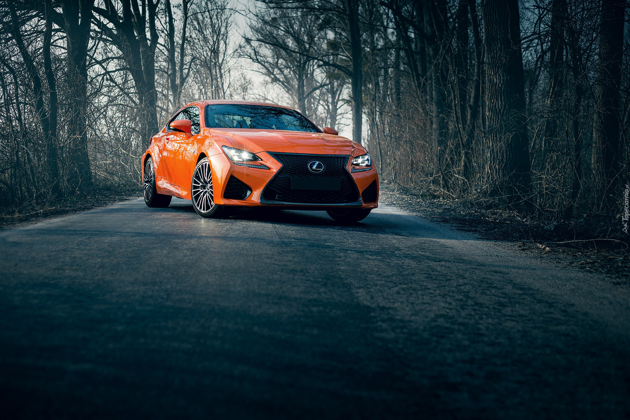 Samochód, Lexus RC F, 2017