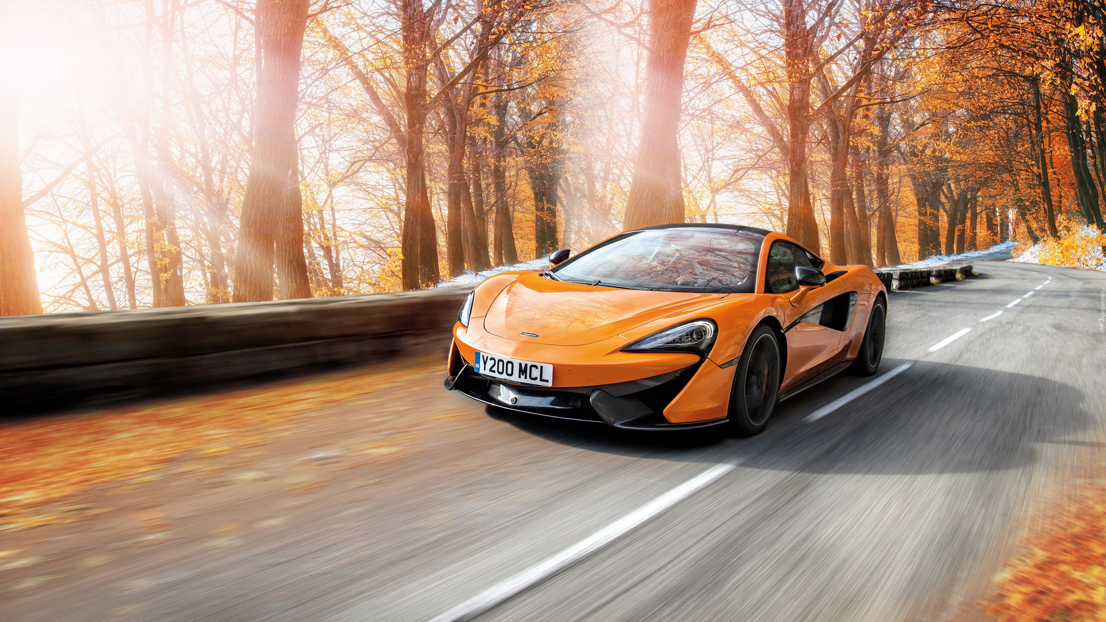 Pomarańczowy, McLaren 570S, Jesień, Droga, Drzewa