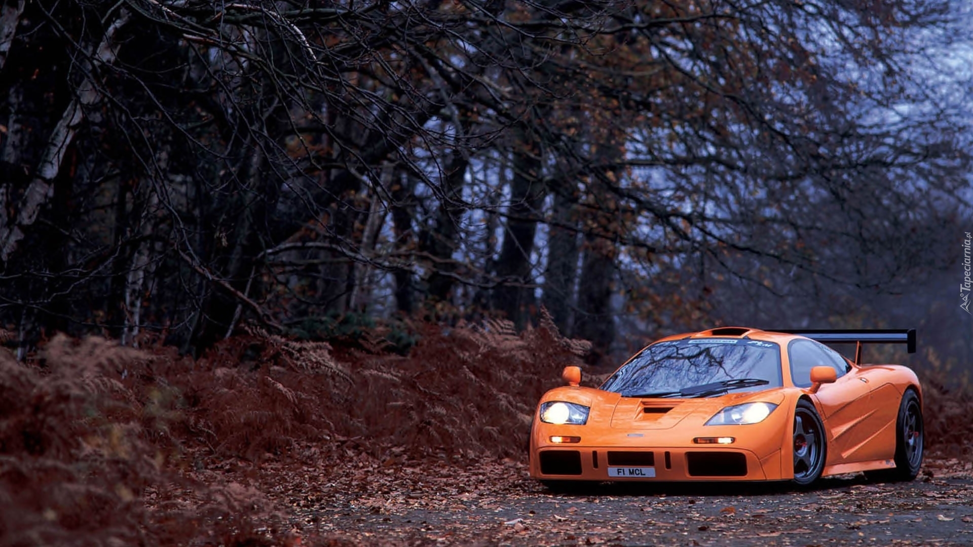 McLaren F1, Droga, Las, Jesień