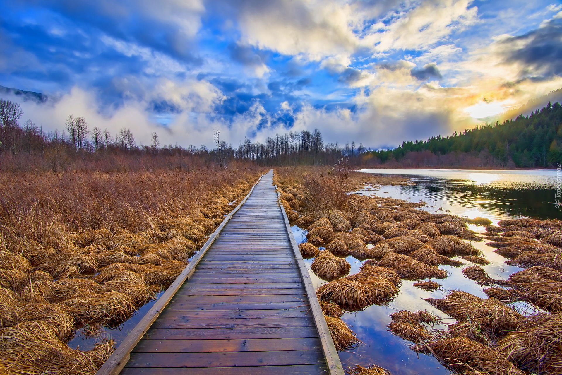 Jezioro One Mile Lake, Pomost, Kępki, Traw, Pemberton, Kolumbia Brytyjska, Kanada