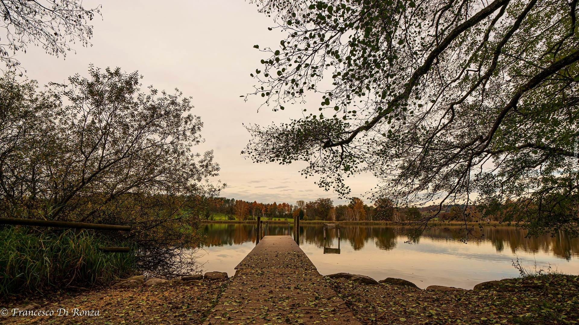 Jesień, Jezioro Katzensee, Drzewa, Pomost, Liście, Kanton Zurych, Szwajcaria