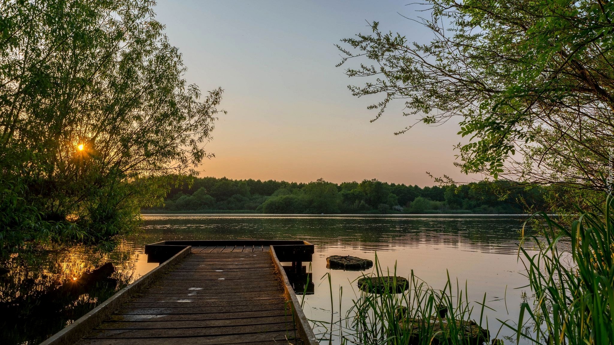 Rzeka, Pomost, Drzewa