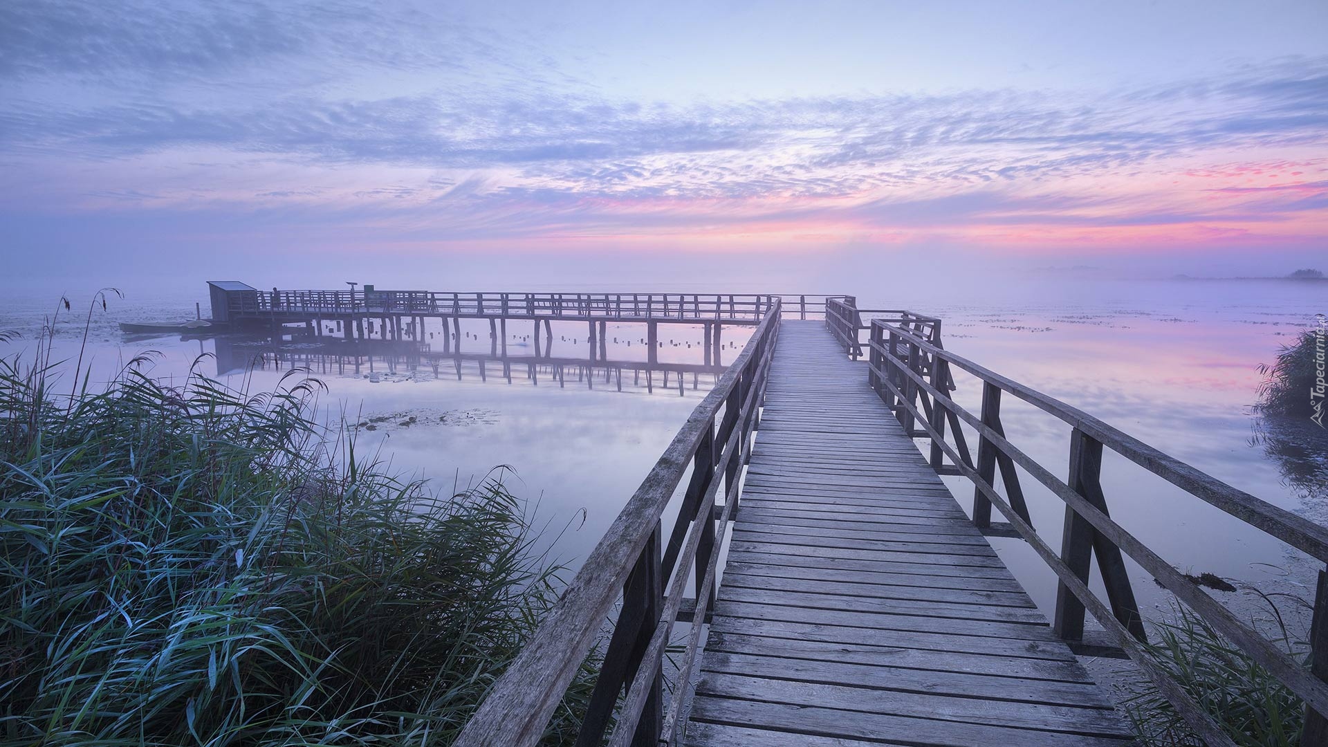 Pomost, Jezioro Federsee, Mgła, Wschód słońca, Poranek, Szuwary, Niebo, Bad Buchau, Badenia Wirtembergia, Niemcy