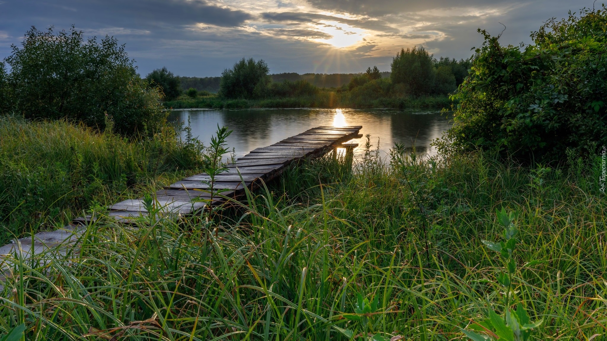 Rzeka, Pomost, Trawa, Drzewa, Słońce, Chmury