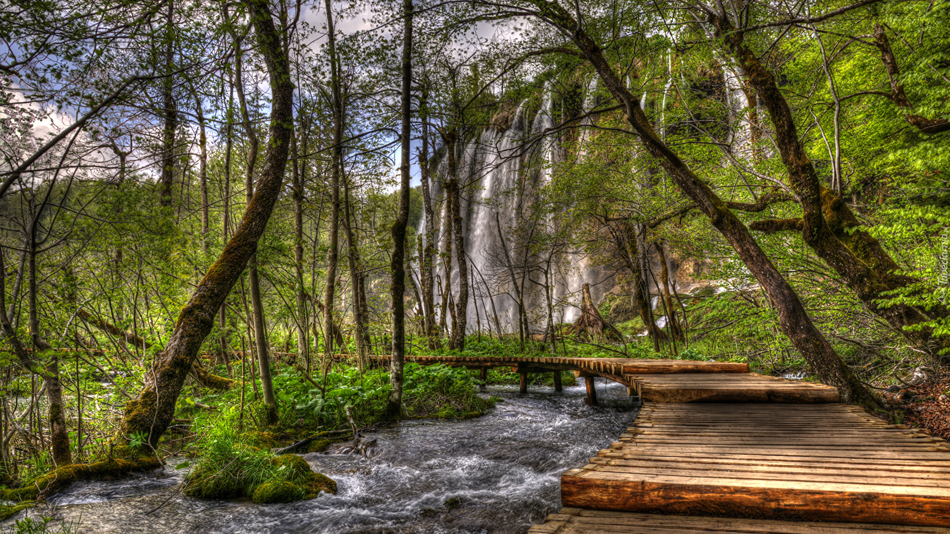 Chorwacja, Park Narodowy Jezior Plitwickich, Wodospad, Rzeka, Pomost, Drzewa