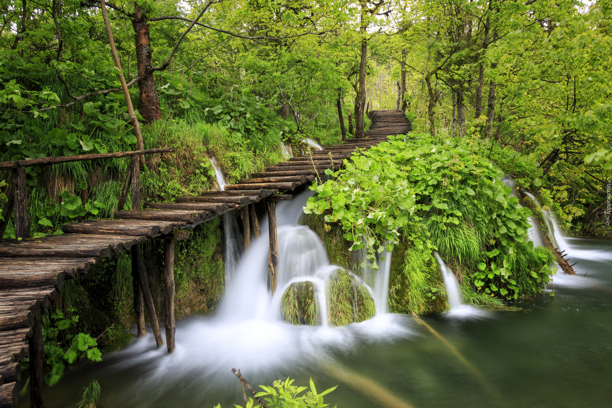 Wodospad, Park Narodowy Jezior Plitwickich, Pomost, Drzewa, Rośliny, Chorwacja