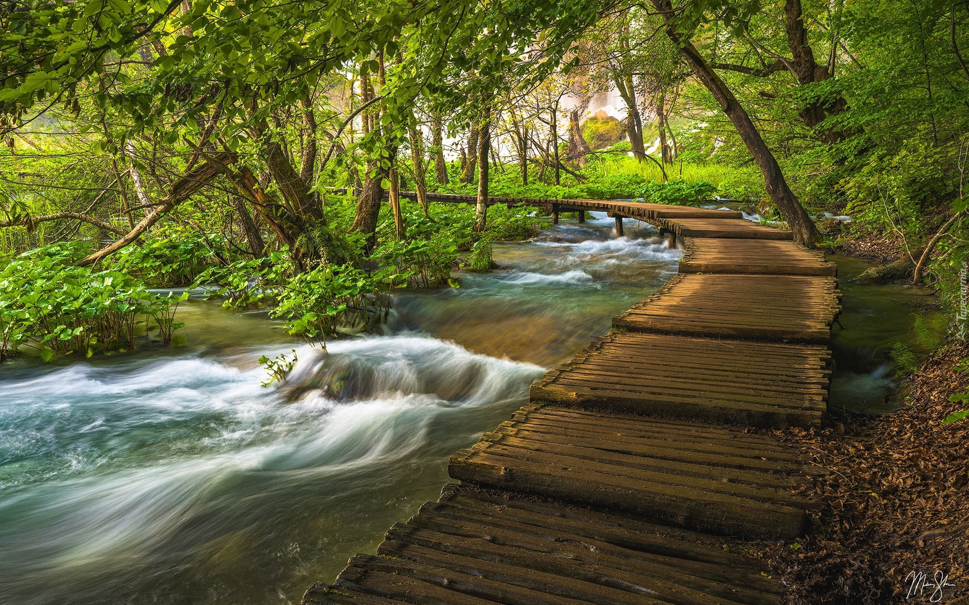 Chorwacja, Plitvice, Park Narodowy Jezior Plitwickich, Rzeka, Drzewa, Pomost