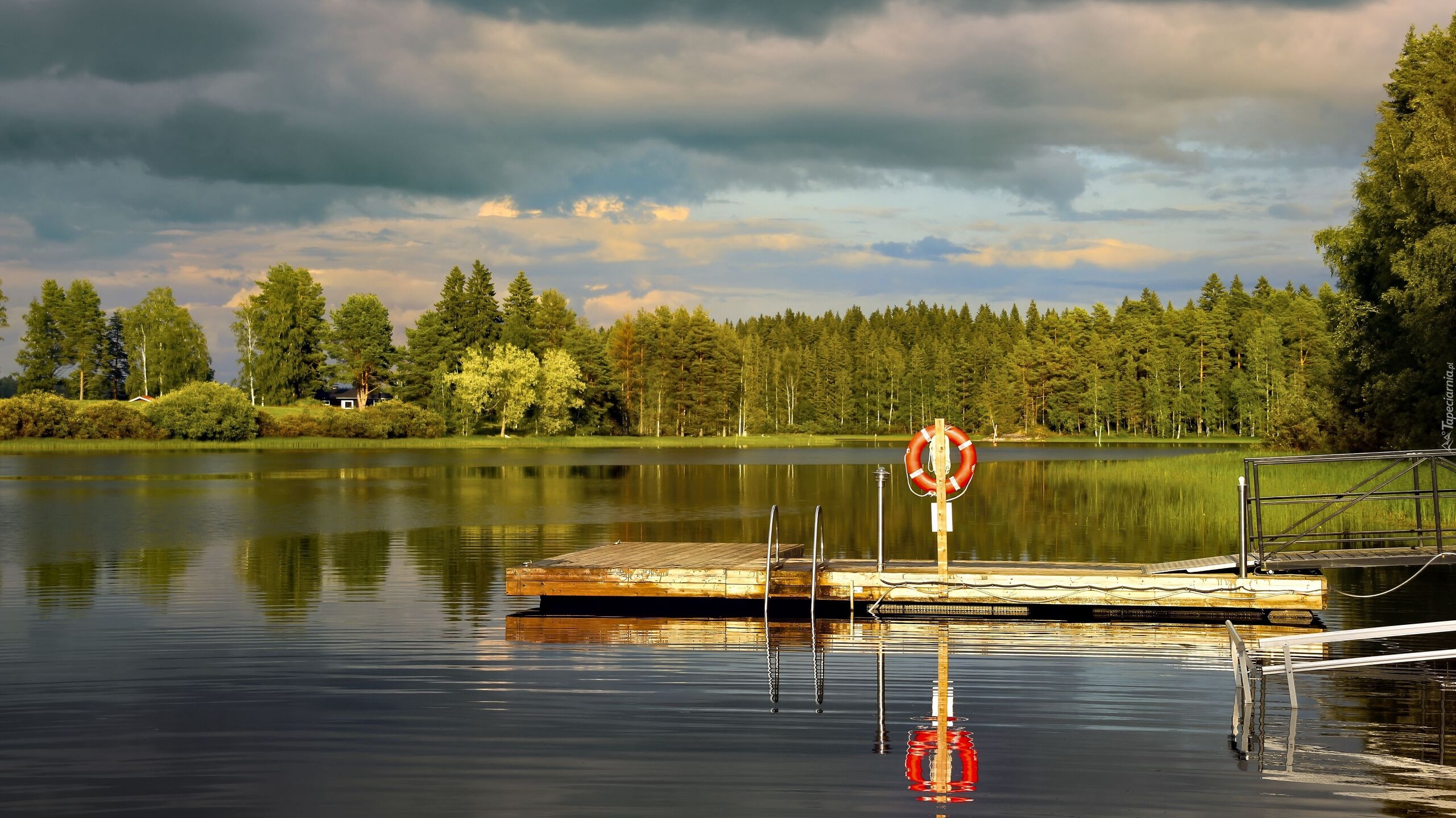 Pomost, Staw, Las, Odbicie