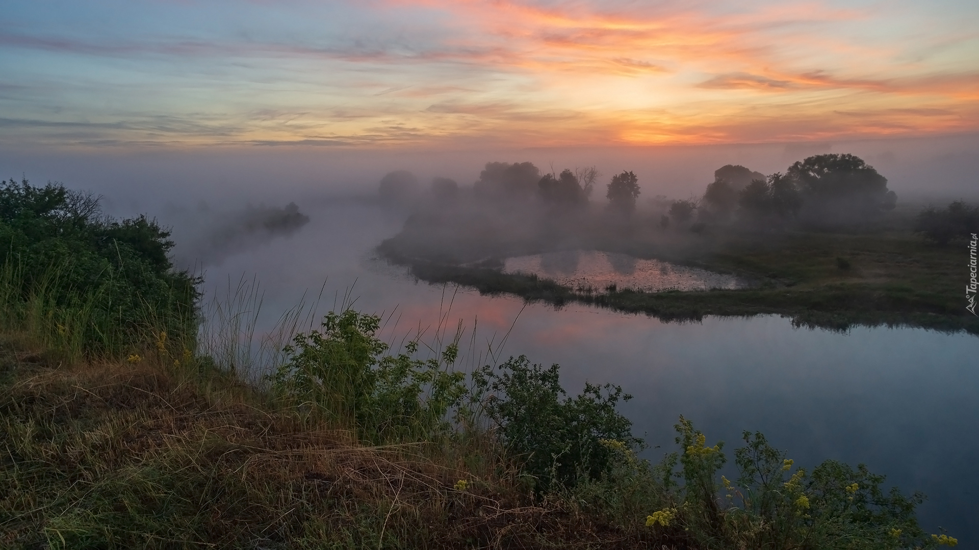 Rzeka, Drzewa, Mgła, Wschód słońca, Poranek