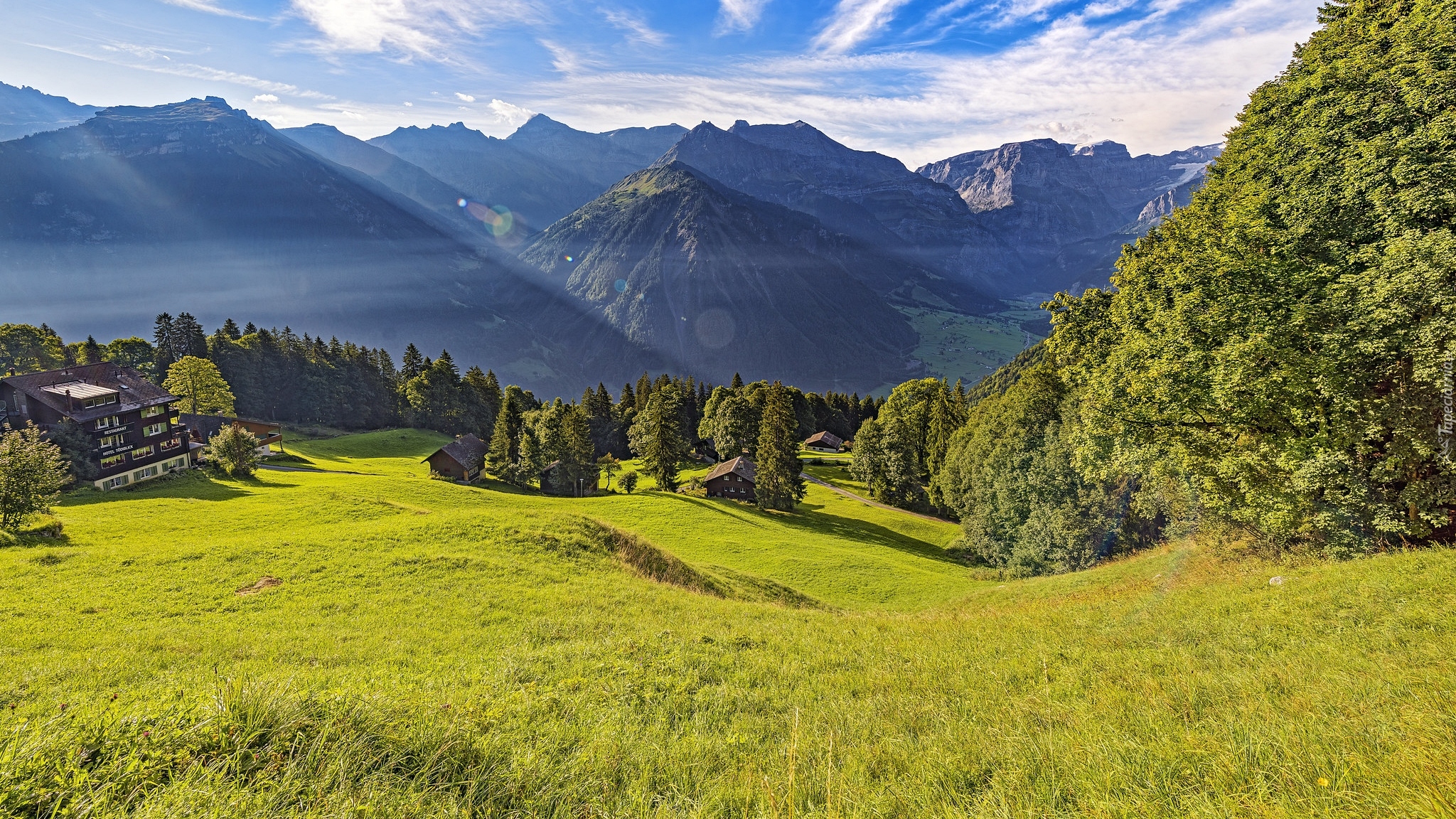 Domki, Polana, Drzewa, Góry, Alpy, Braunwald, Szwajcaria