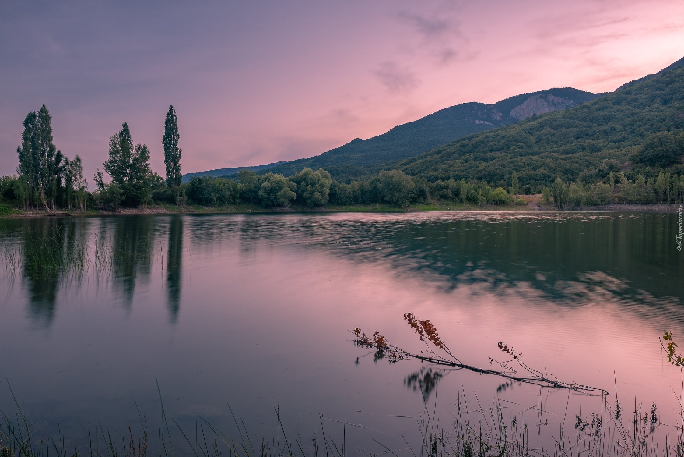 Góry, Jezioro, Drzewa, Poranek