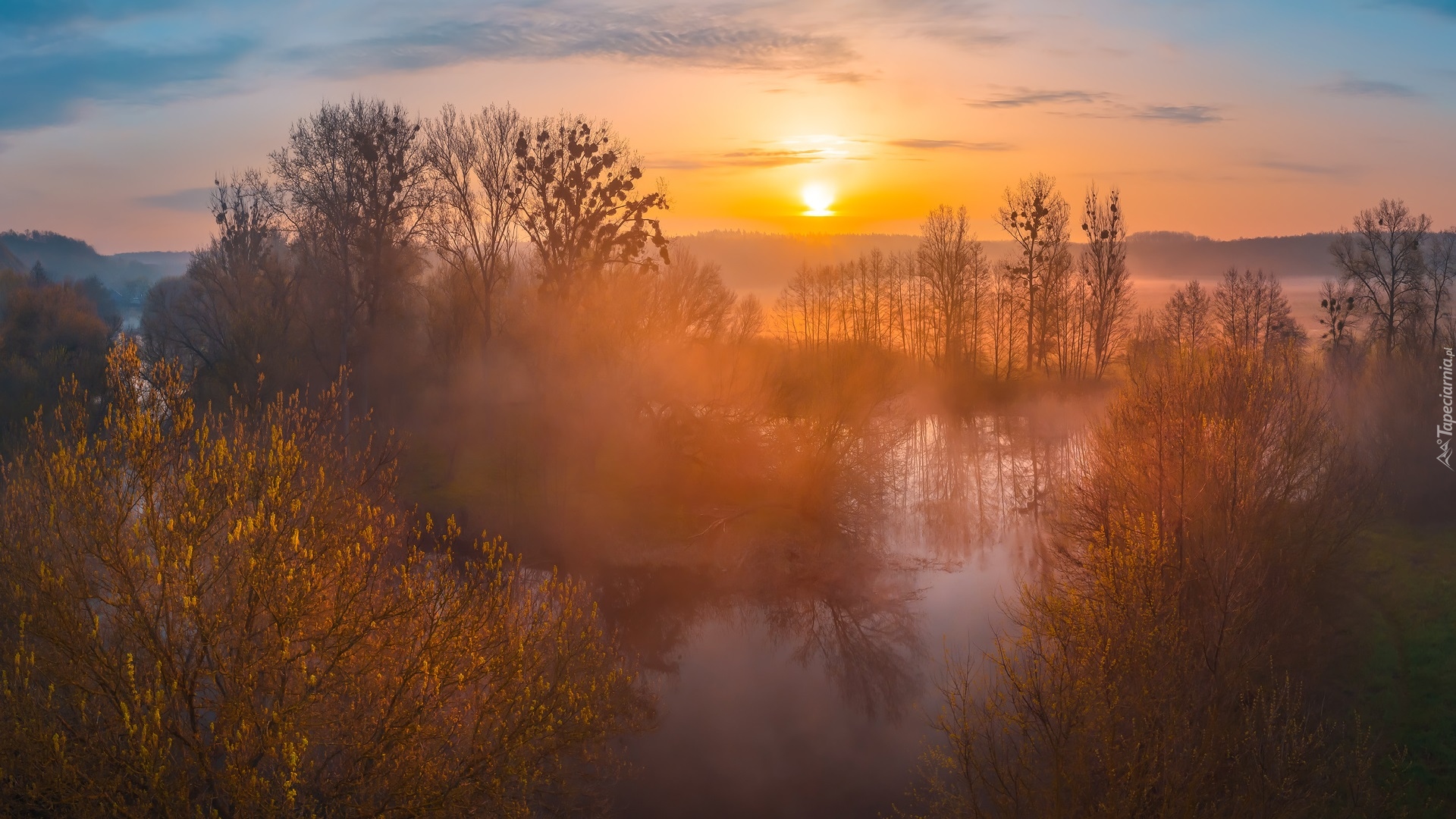 Rzeka, Drzewa, Krzewy, Wschód słońca, Mgła