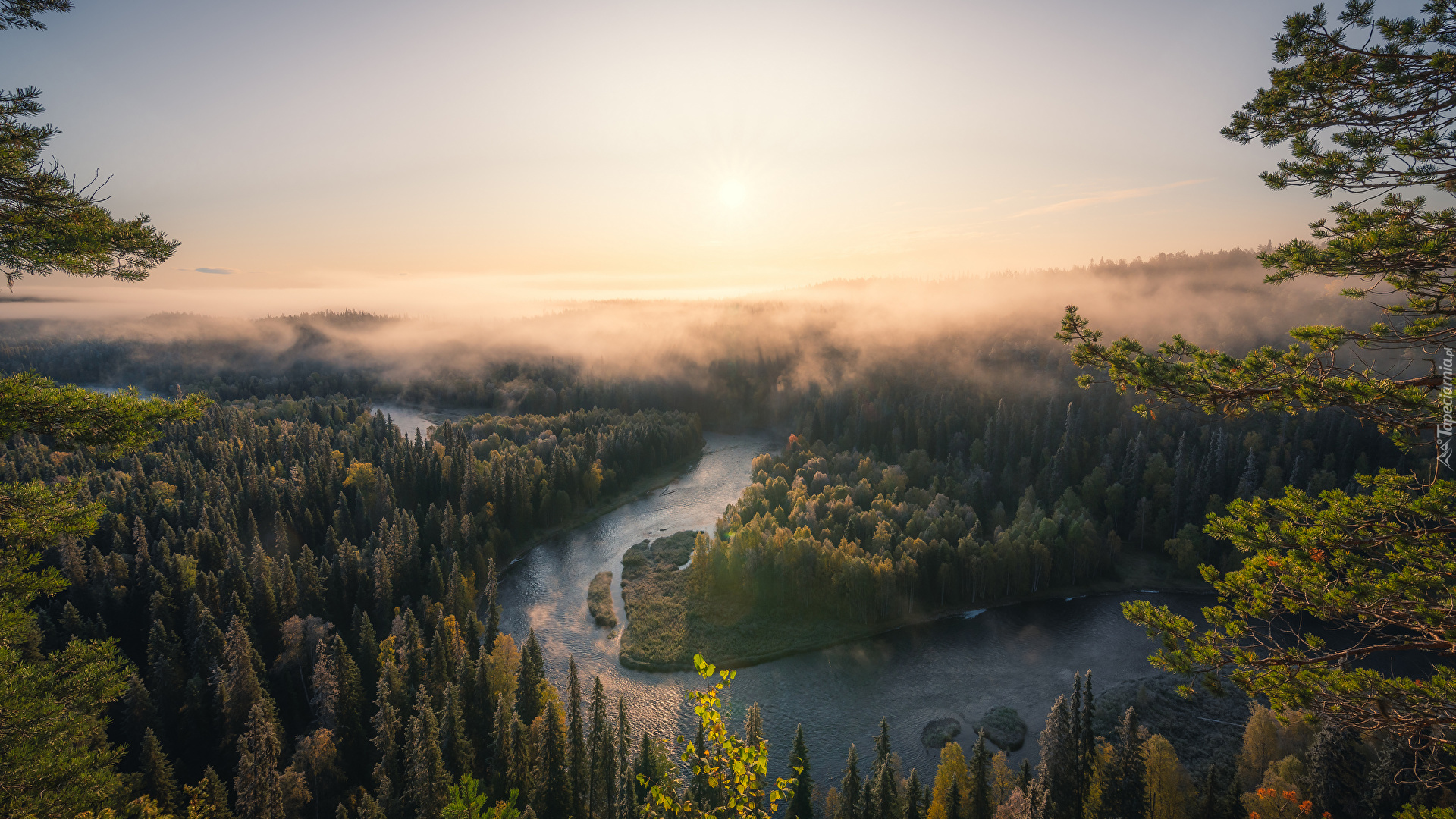 Finlandia, Park Narodowy Oulanka, Las, Rzeka, Mgła, Wschód słońca