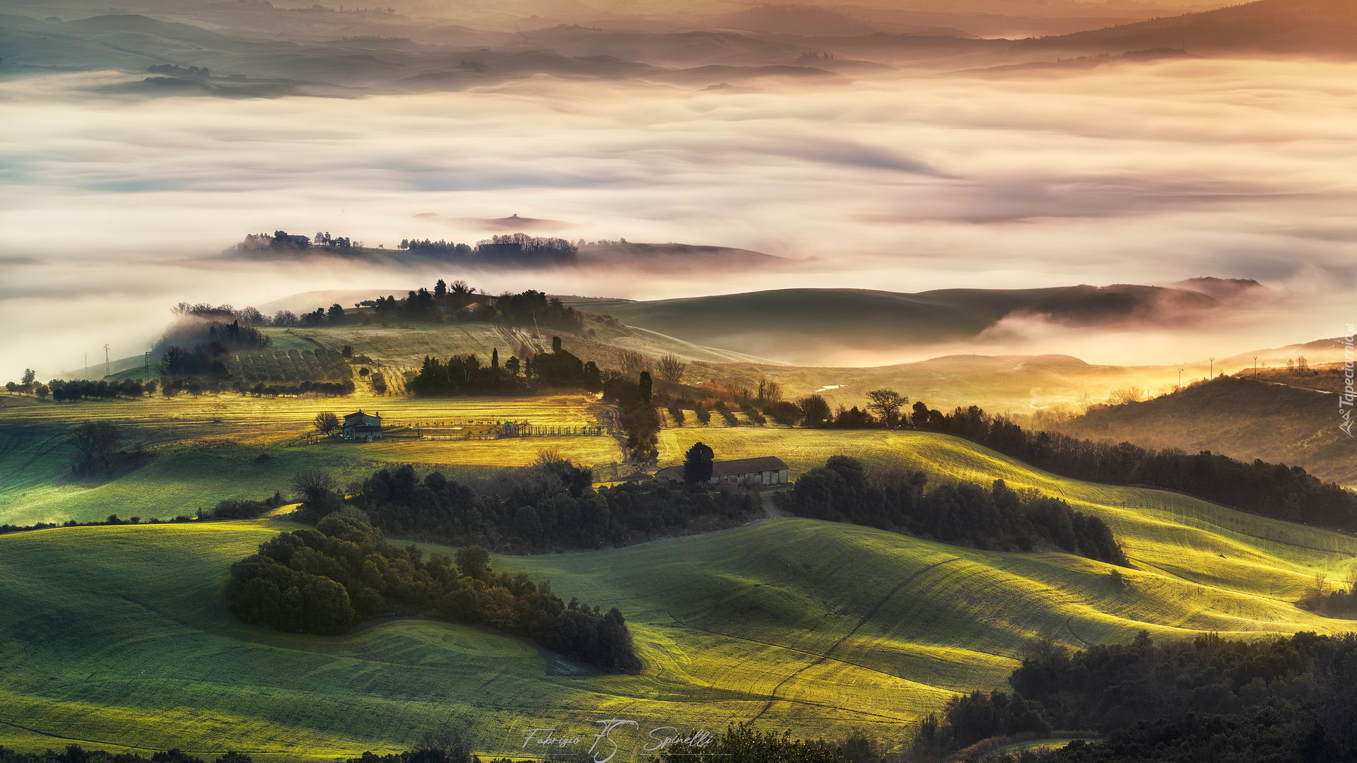 Dolina, Val di Cecina, Pola, Wzgórza, Poranek, Mgła, Toskania, Włochy