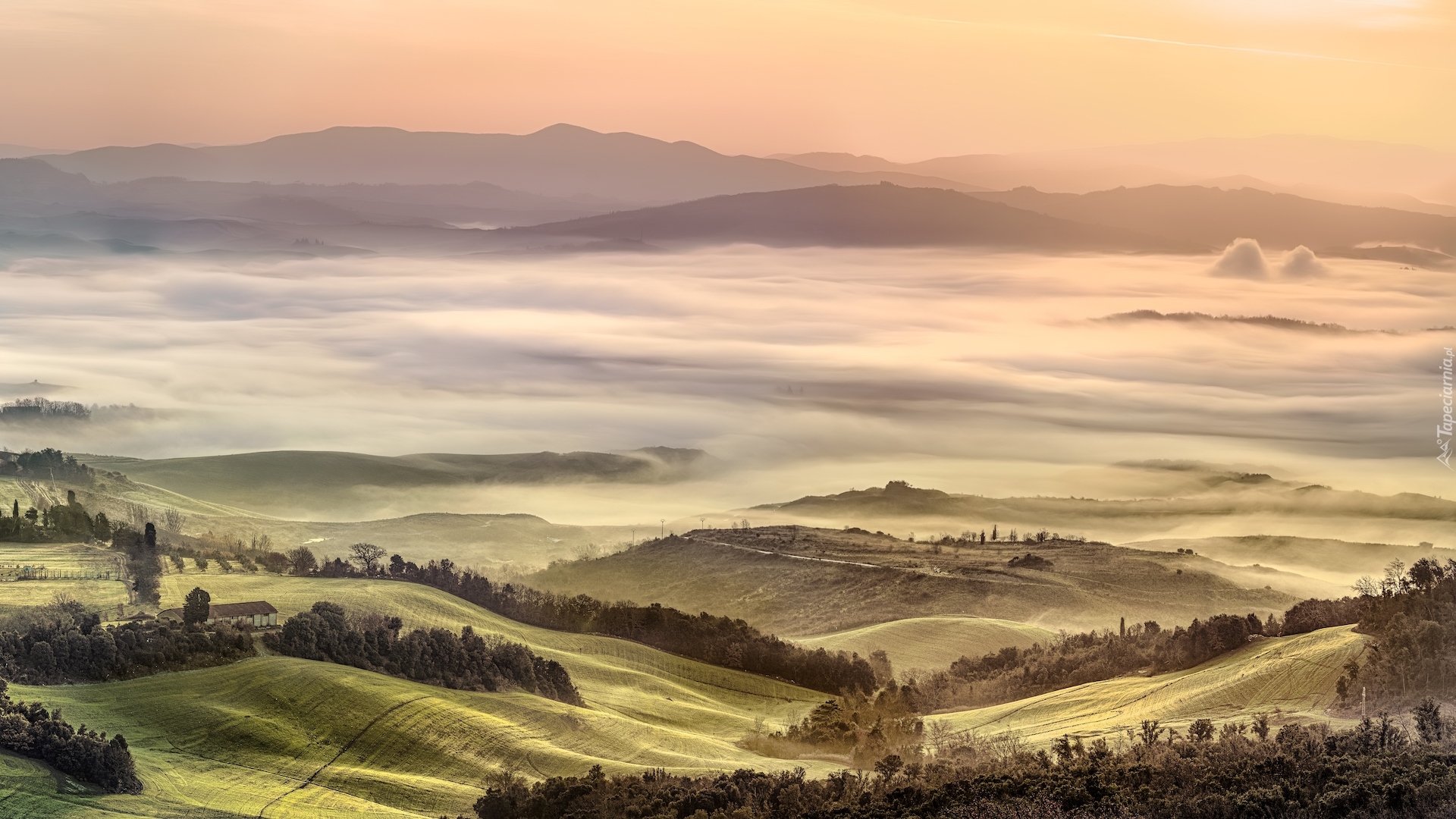 Włochy, Toskania, Dolina, Val di Cecina, Pola, Wzgórza, Poranek, Mgła