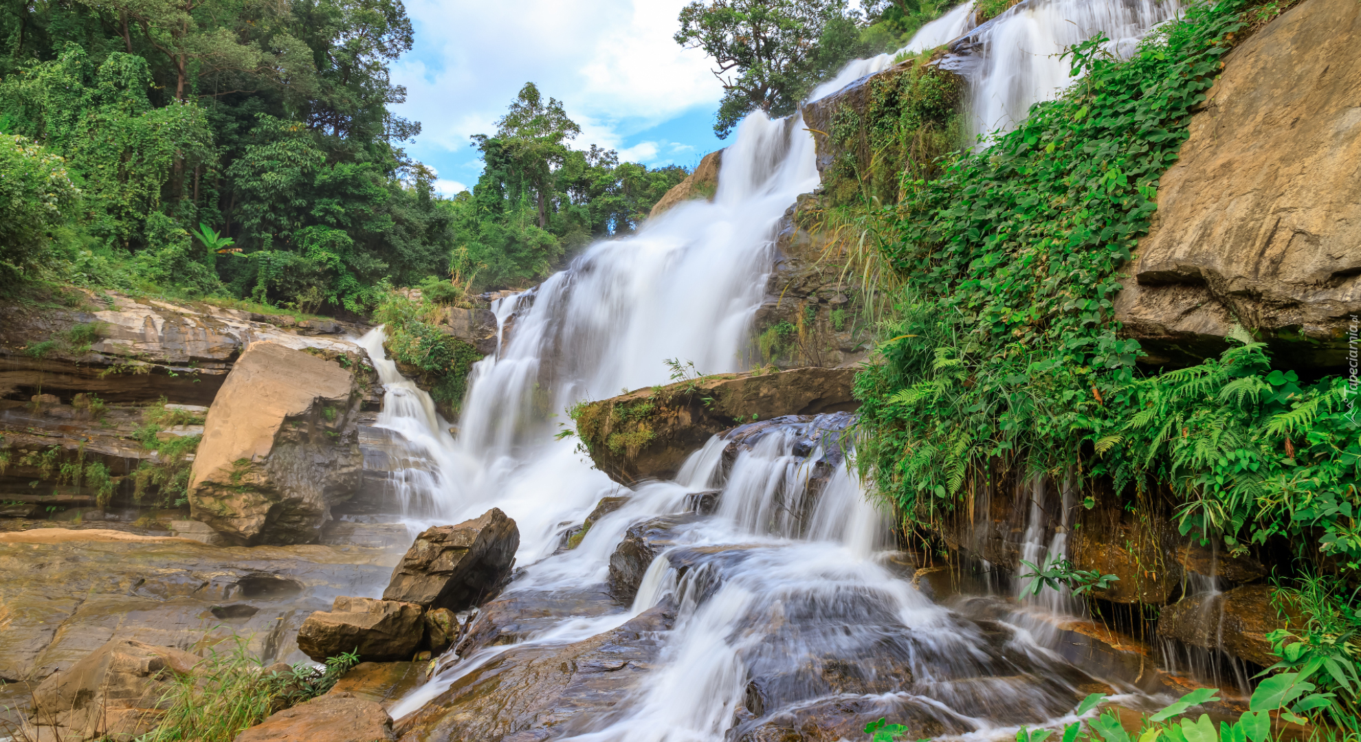 Drzewo, Skały, Roślinność, Kamienie, Wodospad, Mae Ya Waterfall, Park Narodowy Doi Inthanon, Chiang Mai, Tajlandia