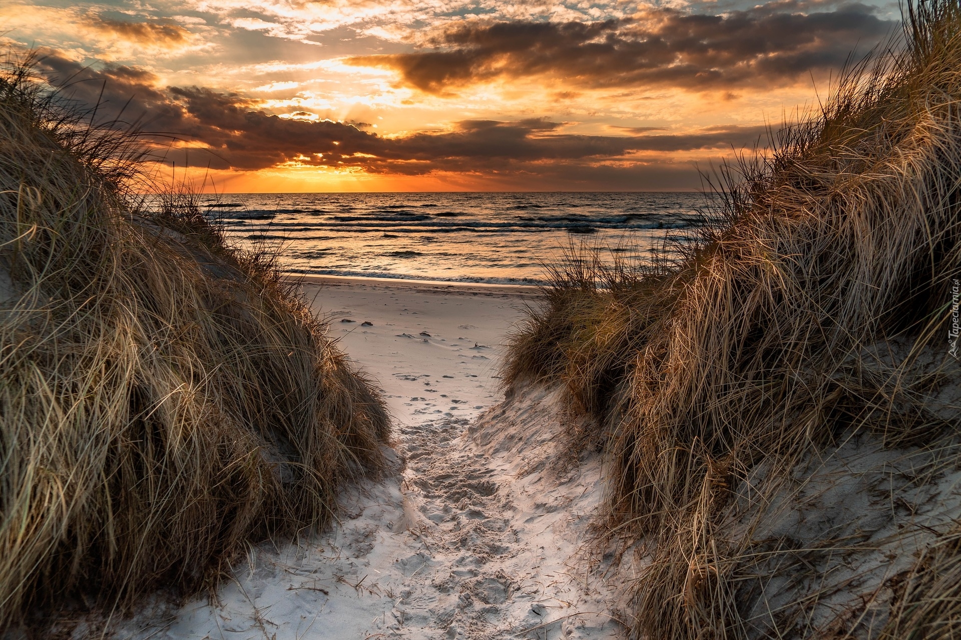 Zachód słońca, Morze, Plaża, Porośnięte, Wydmy, Trawa