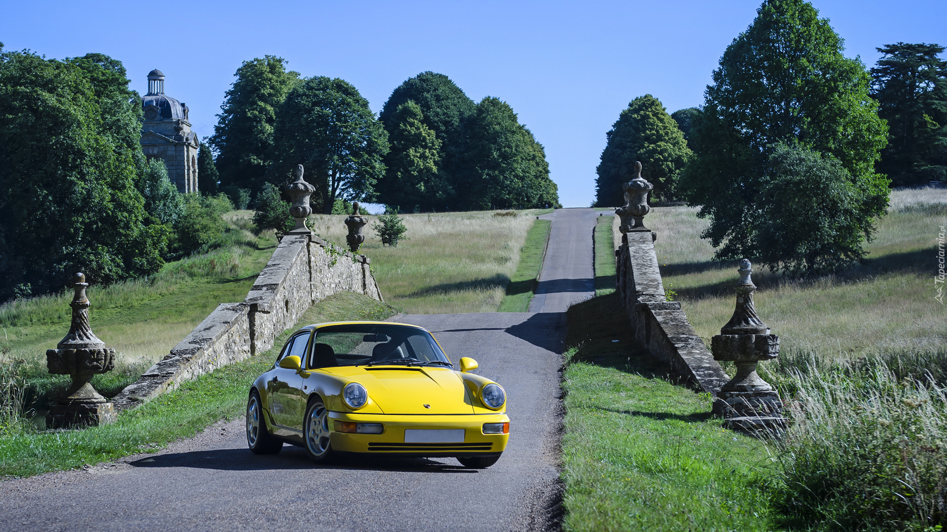 Porsche 911 Carrera 4, Żółty