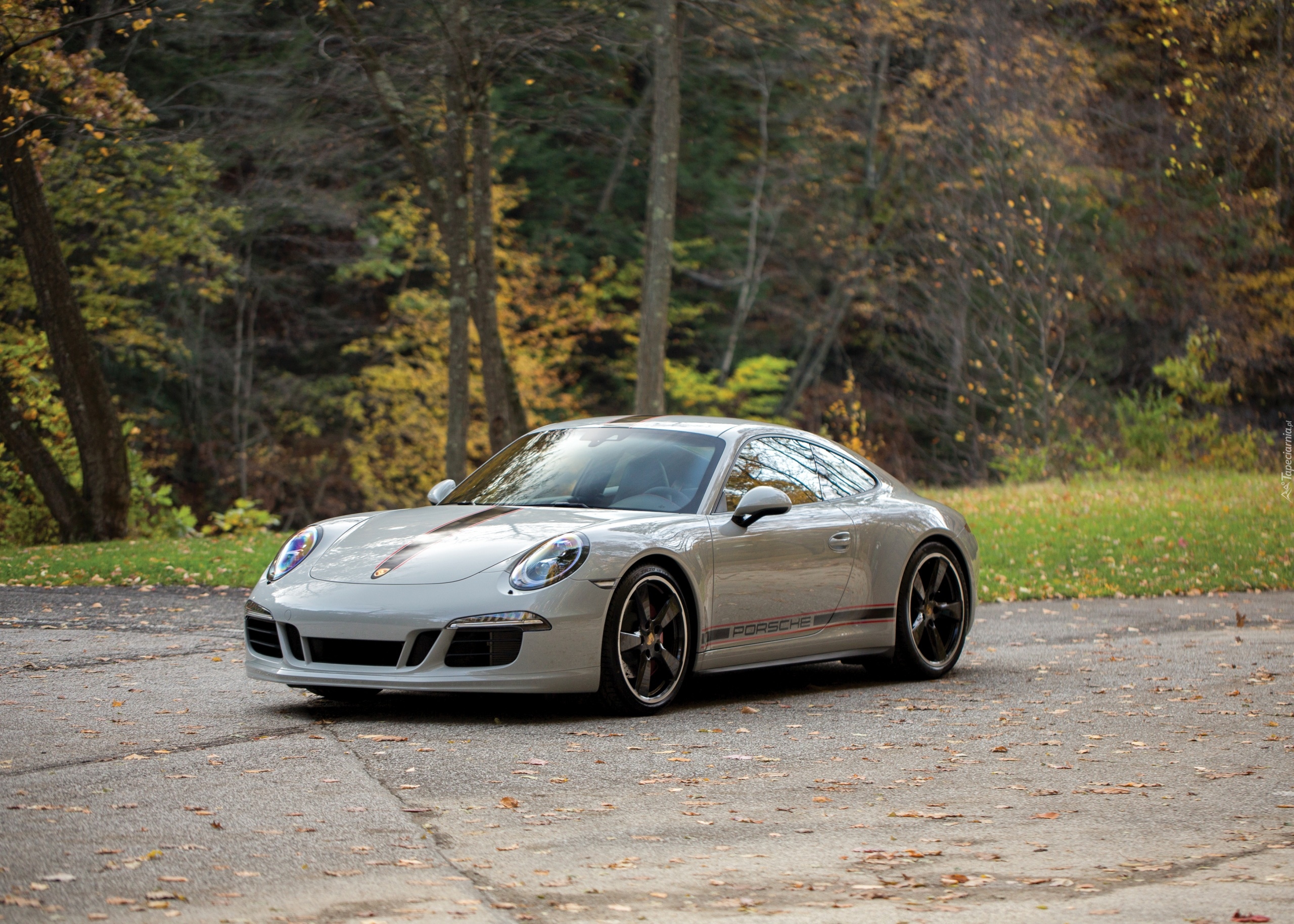 Porsche 911 Carrera GTS Rennsport Reunion Limited Edition, 2016