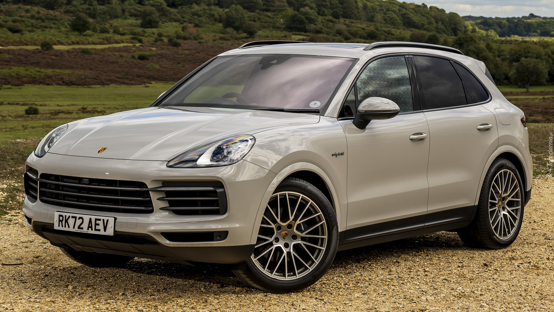 Porsche Cayenne E-Hybrid Platinum