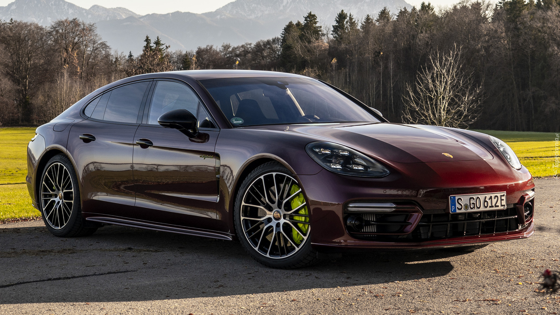 Porsche Panamera E, Hybryda