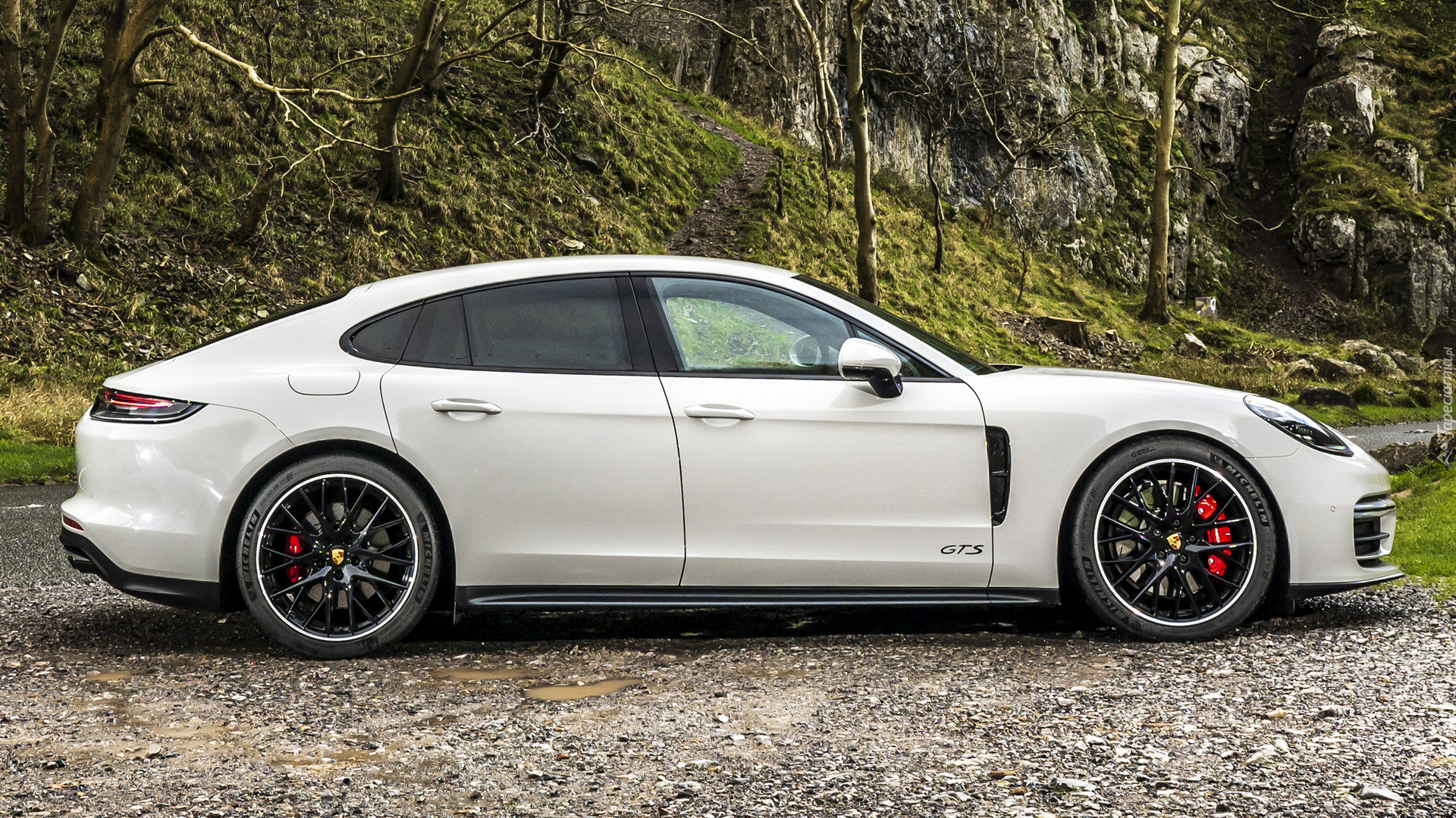 Porsche Panamera GTS, 2020